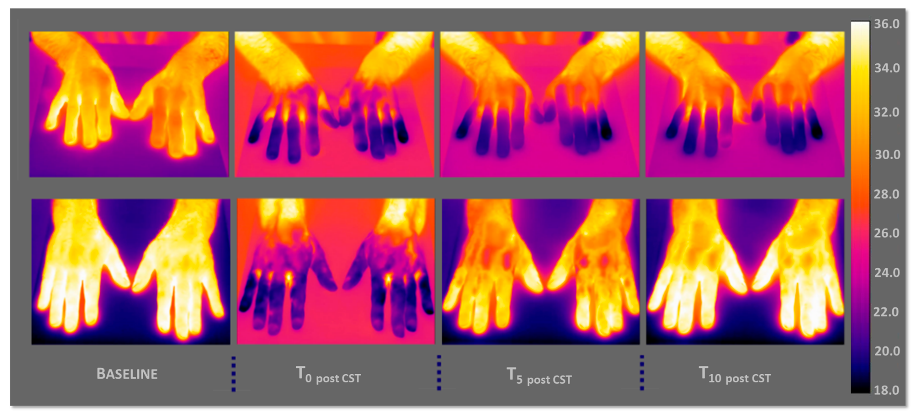 Sensors 25 05243 g005