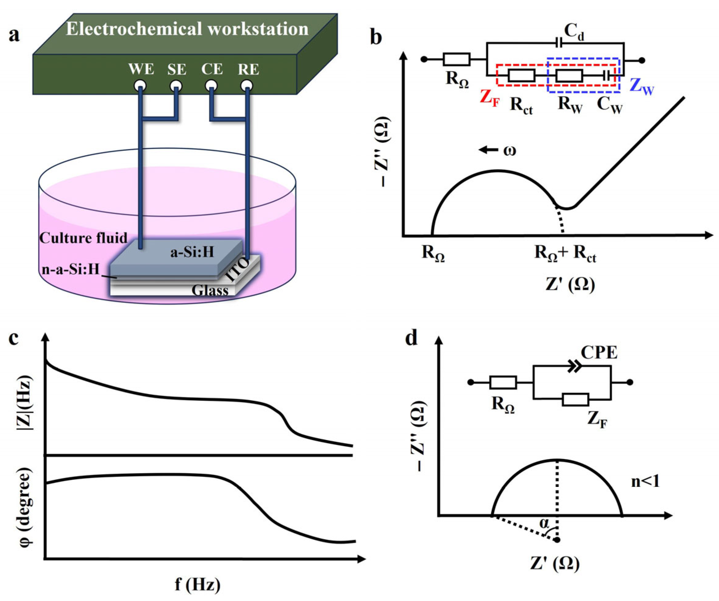 Sensors 25 05255 g001 Sensors 25 05255 g001