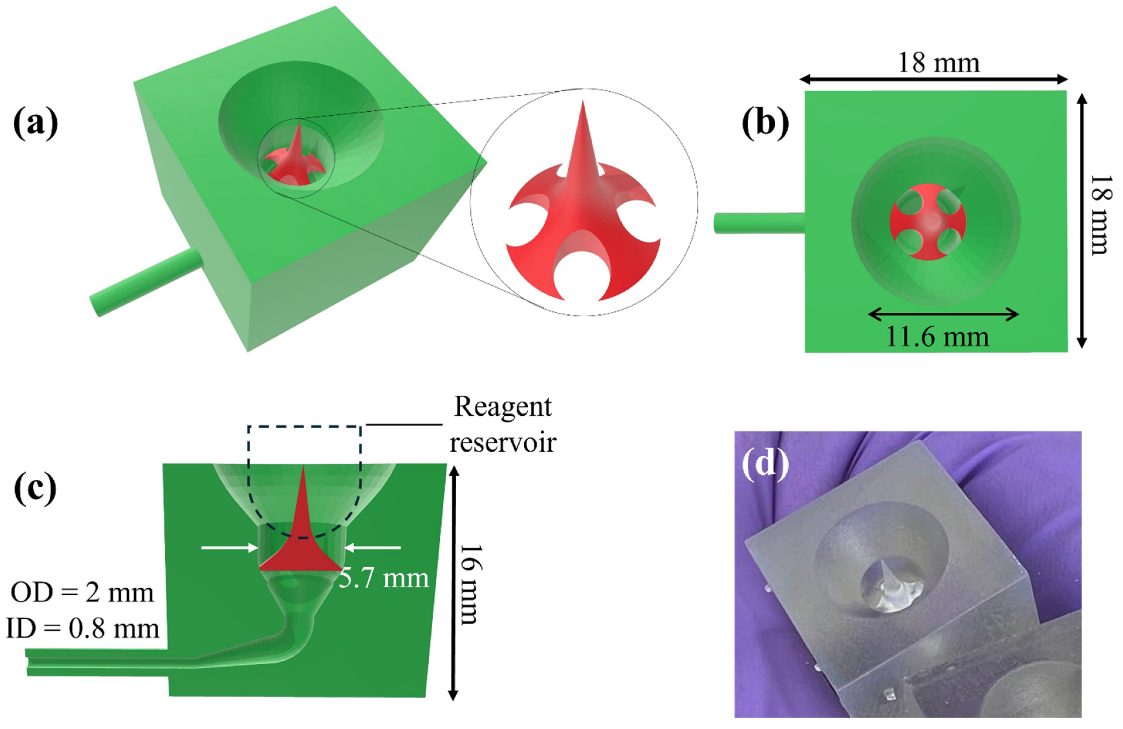 Sensors 25 05262 g005