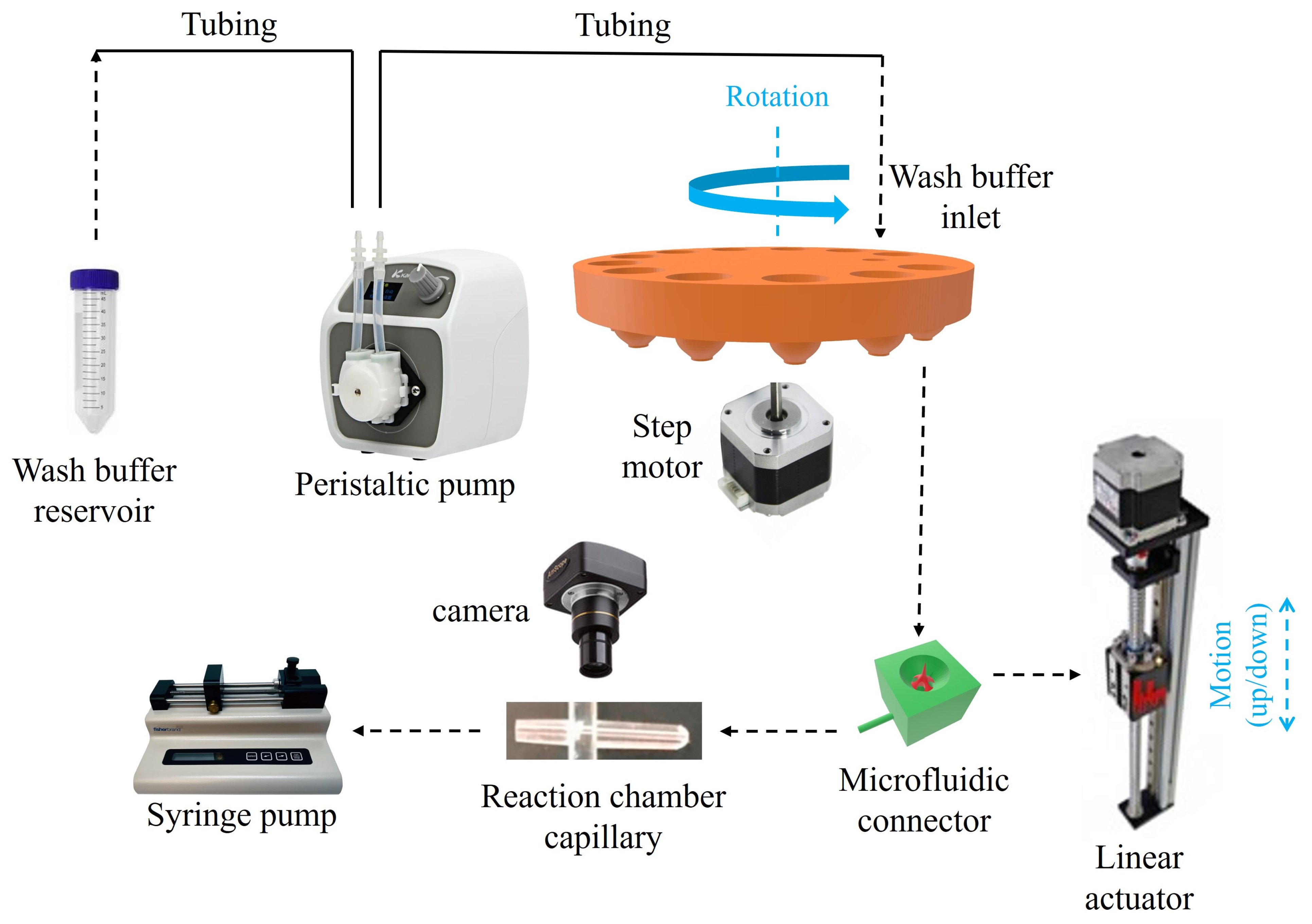 Sensors 25 05262 g006