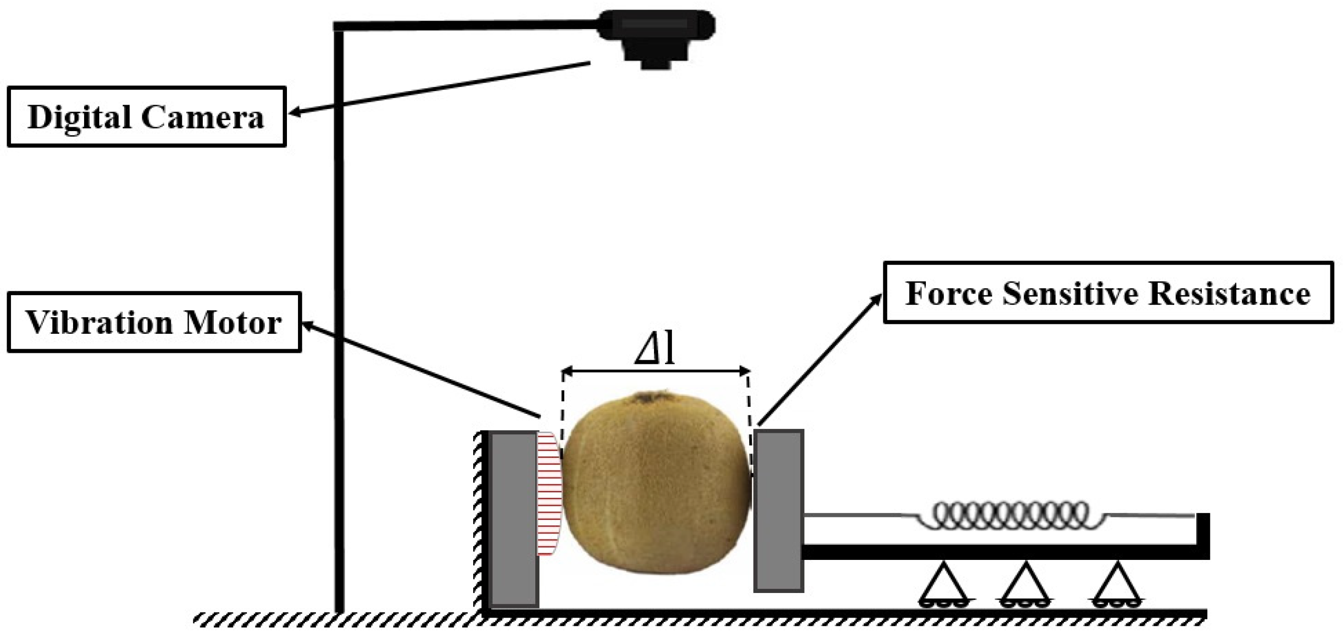 Sensors 25 05279 g001