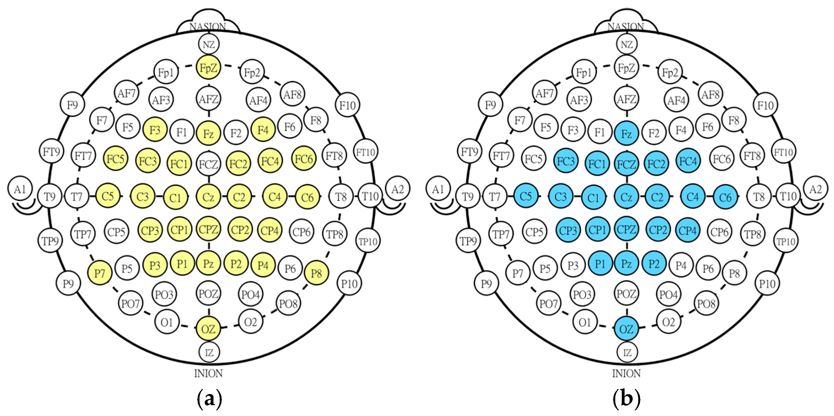 Sensors 25 05291 g001 Sensors 25 05291 g001