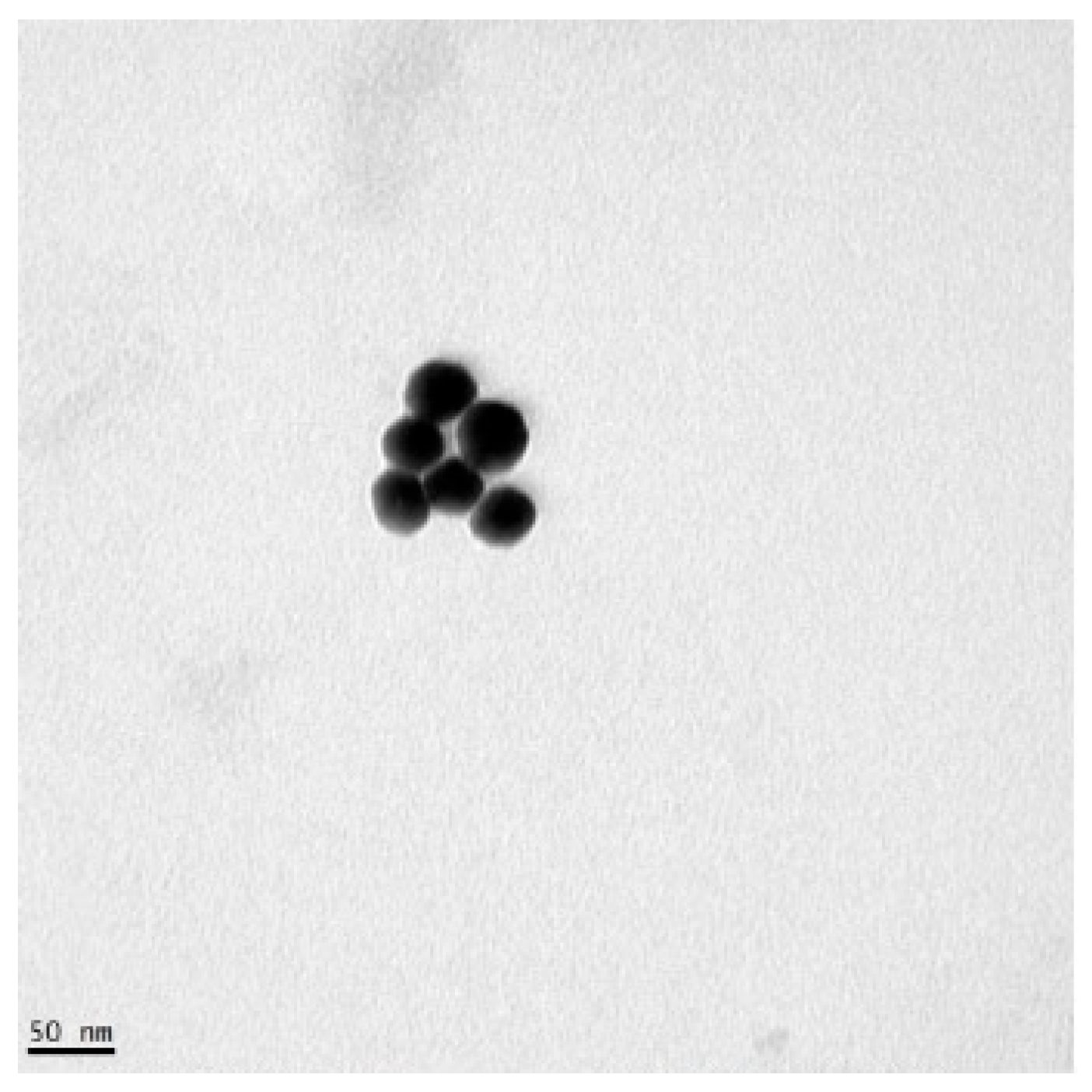 Sensors 25 05293 g002 Sensors 25 05293 g002