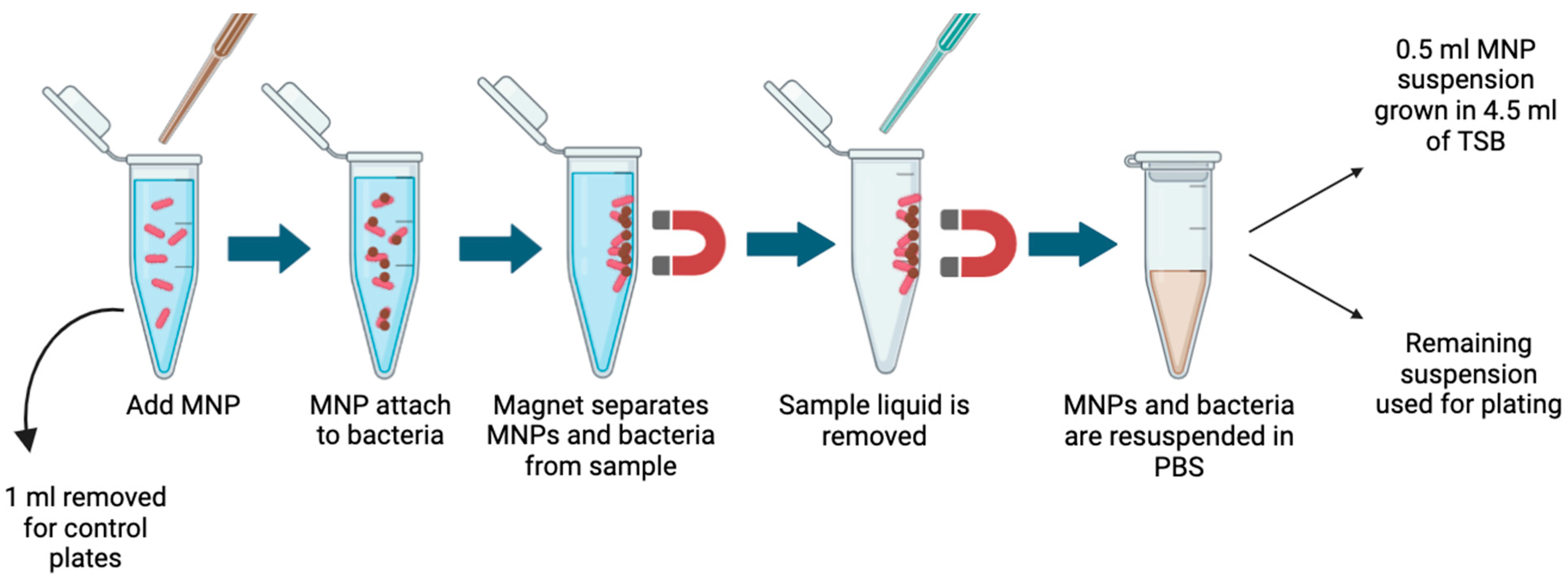 Sensors 25 05293 g004 Sensors 25 05293 g004