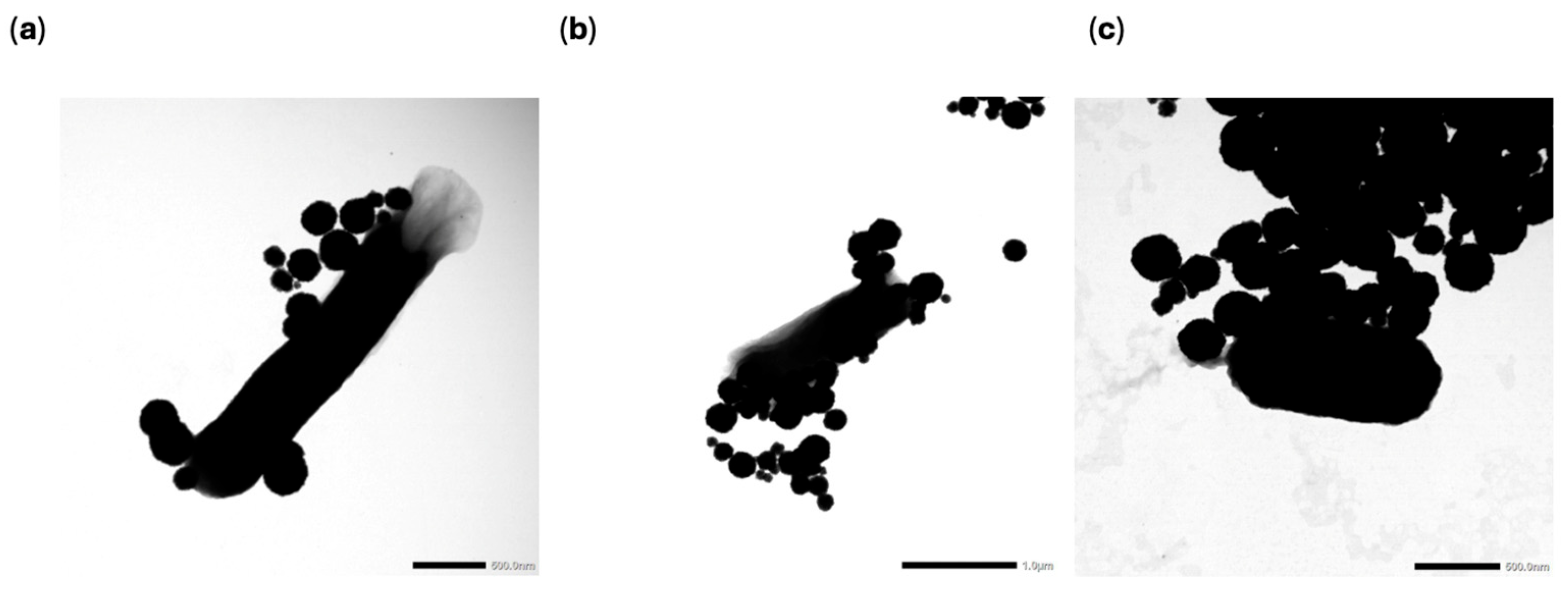 Sensors 25 05293 g005 Sensors 25 05293 g005