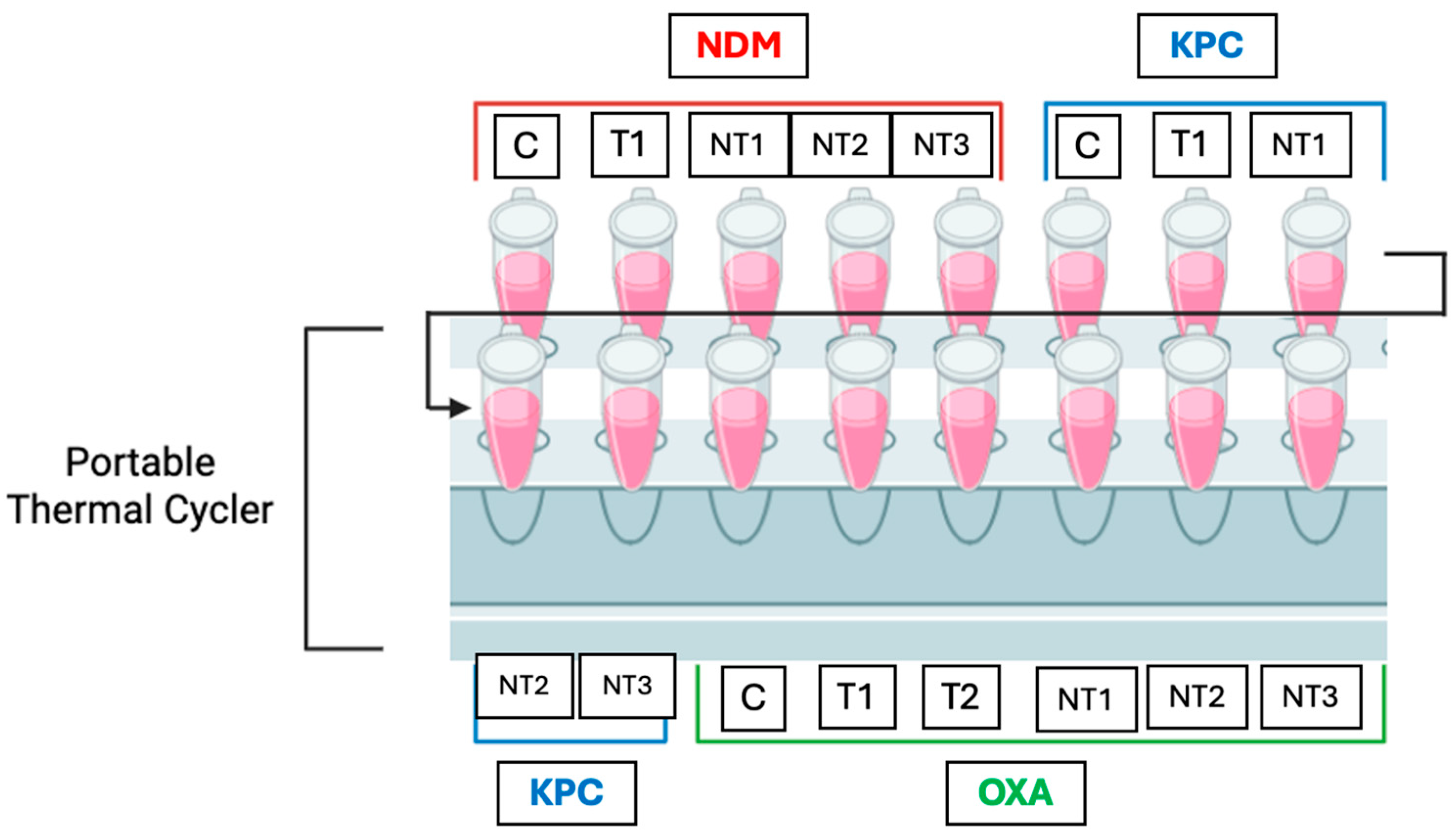 Sensors 25 05293 g006 Sensors 25 05293 g006