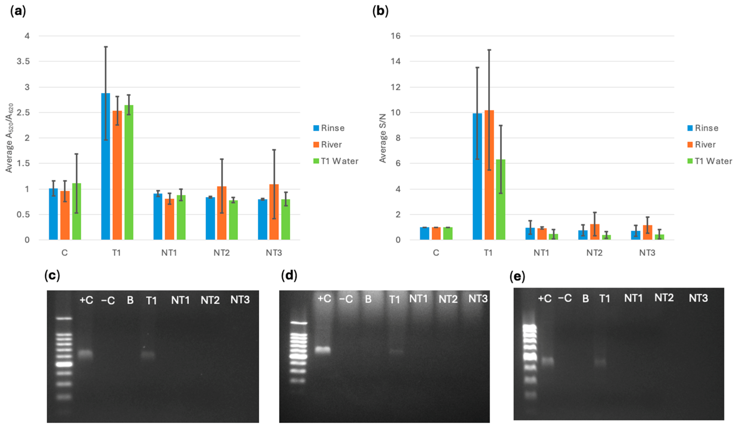 Sensors 25 05293 g010 Sensors 25 05293 g010