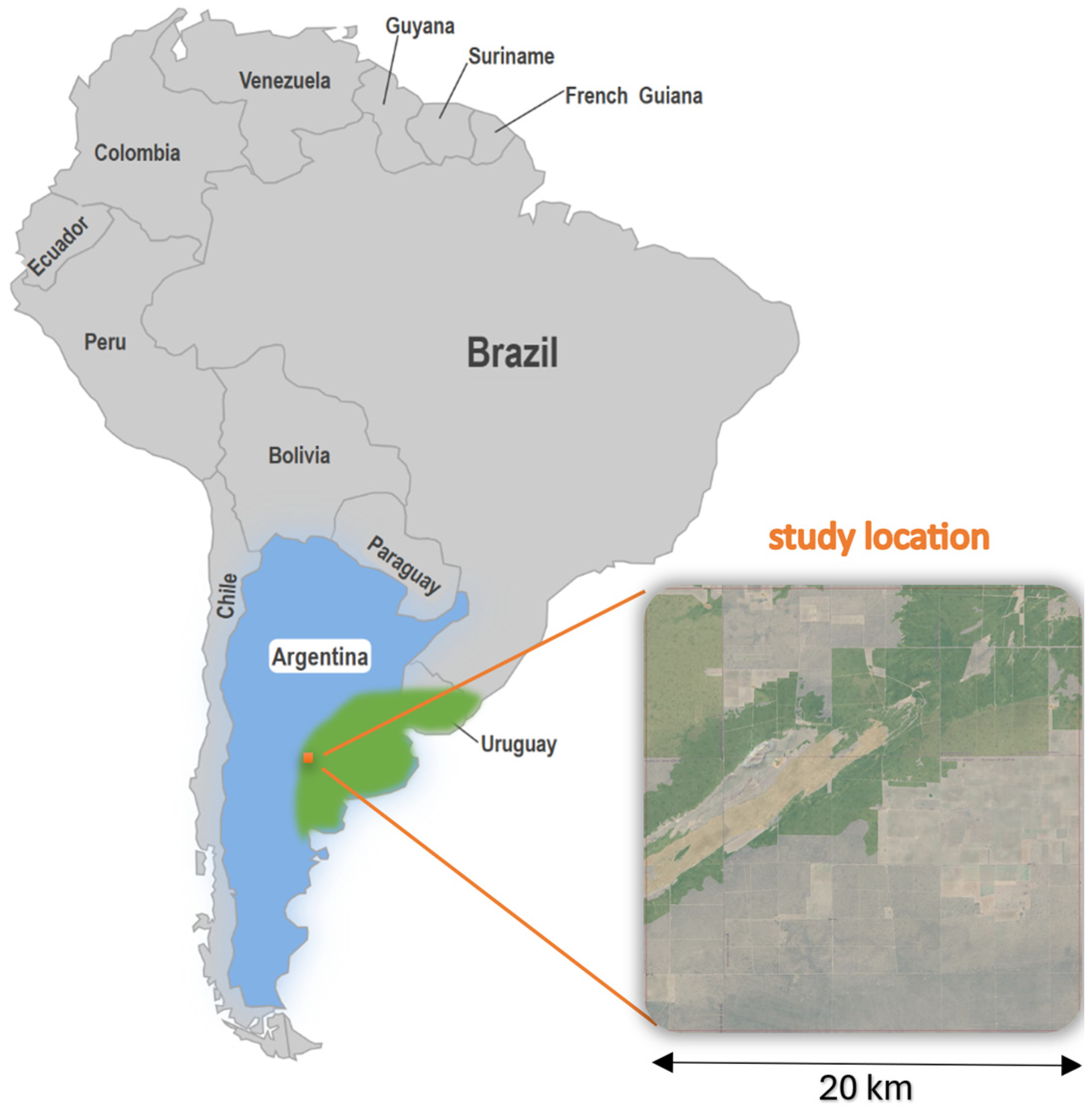 Sensors 25 05299 g001