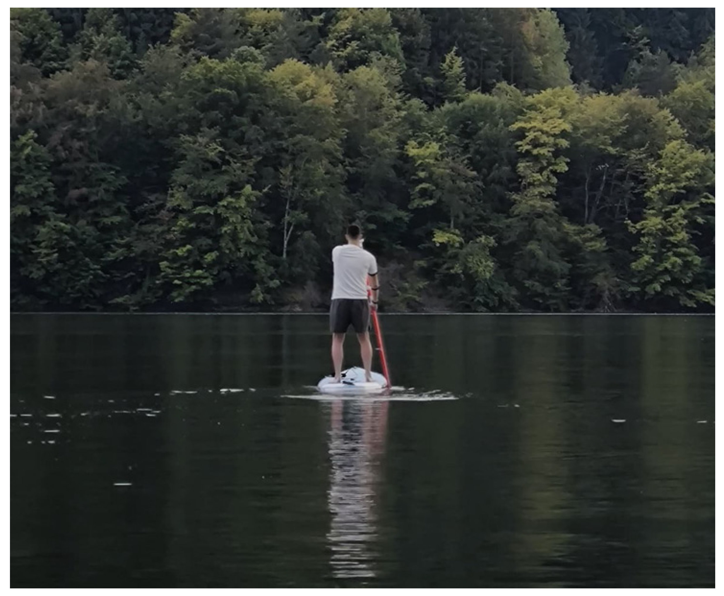 Sensors 25 05307 g011