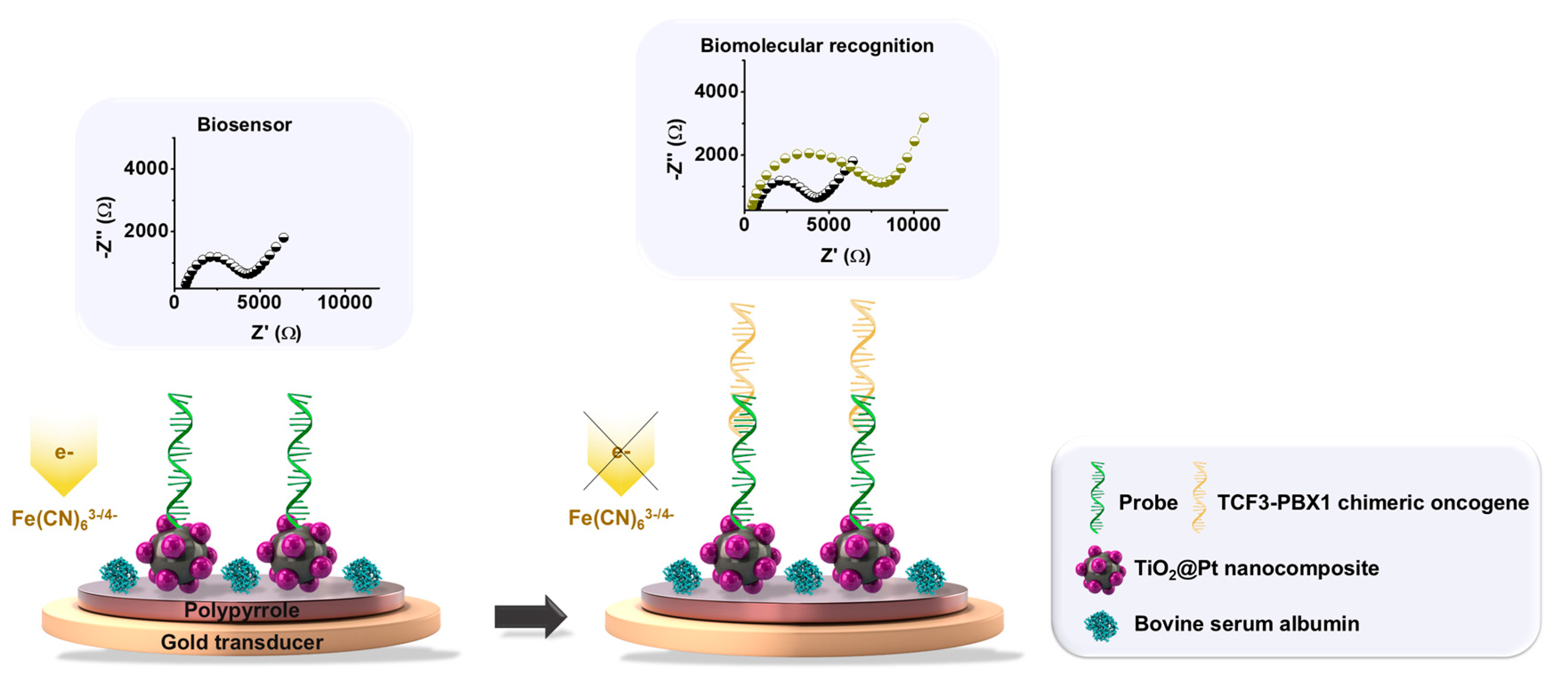 Sensors 25 05313 g001 Sensors 25 05313 g001