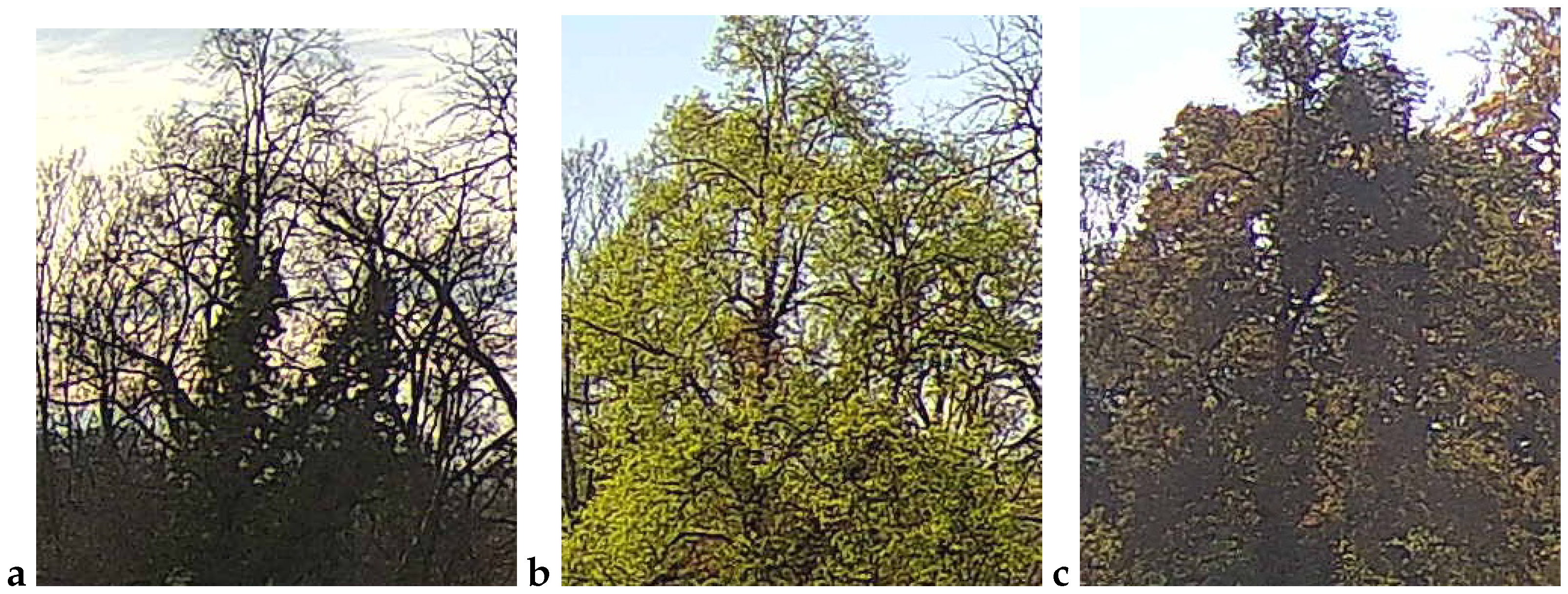 Sensors 25 05326 g001