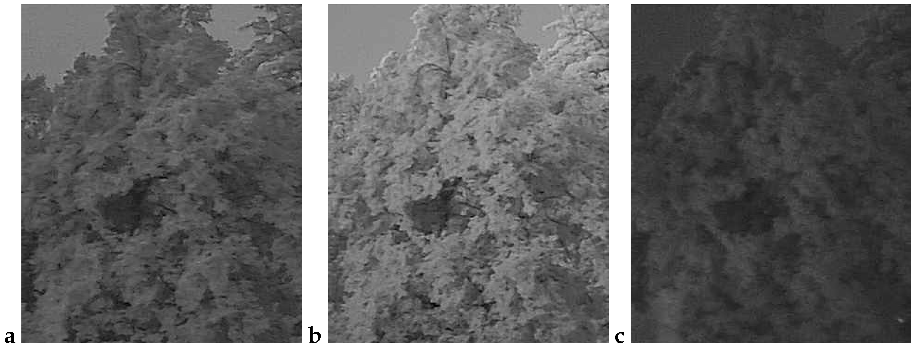 Sensors 25 05326 g004