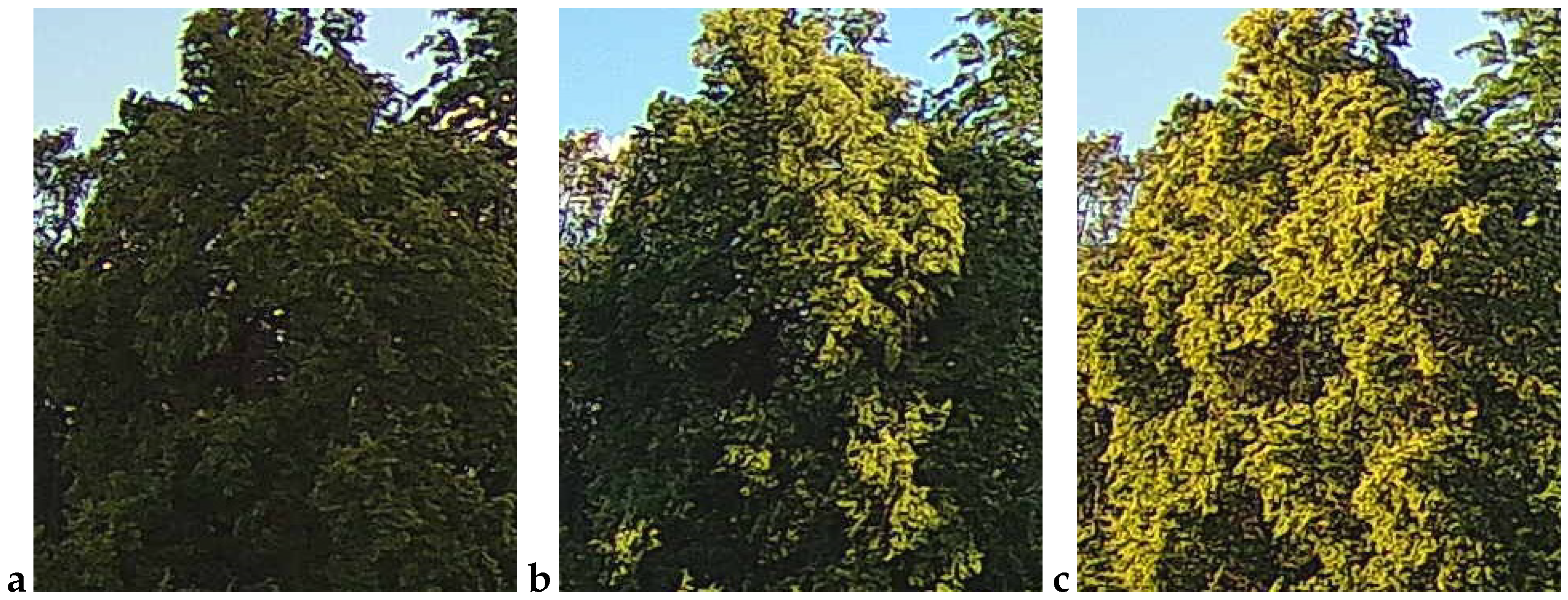 Sensors 25 05326 g009