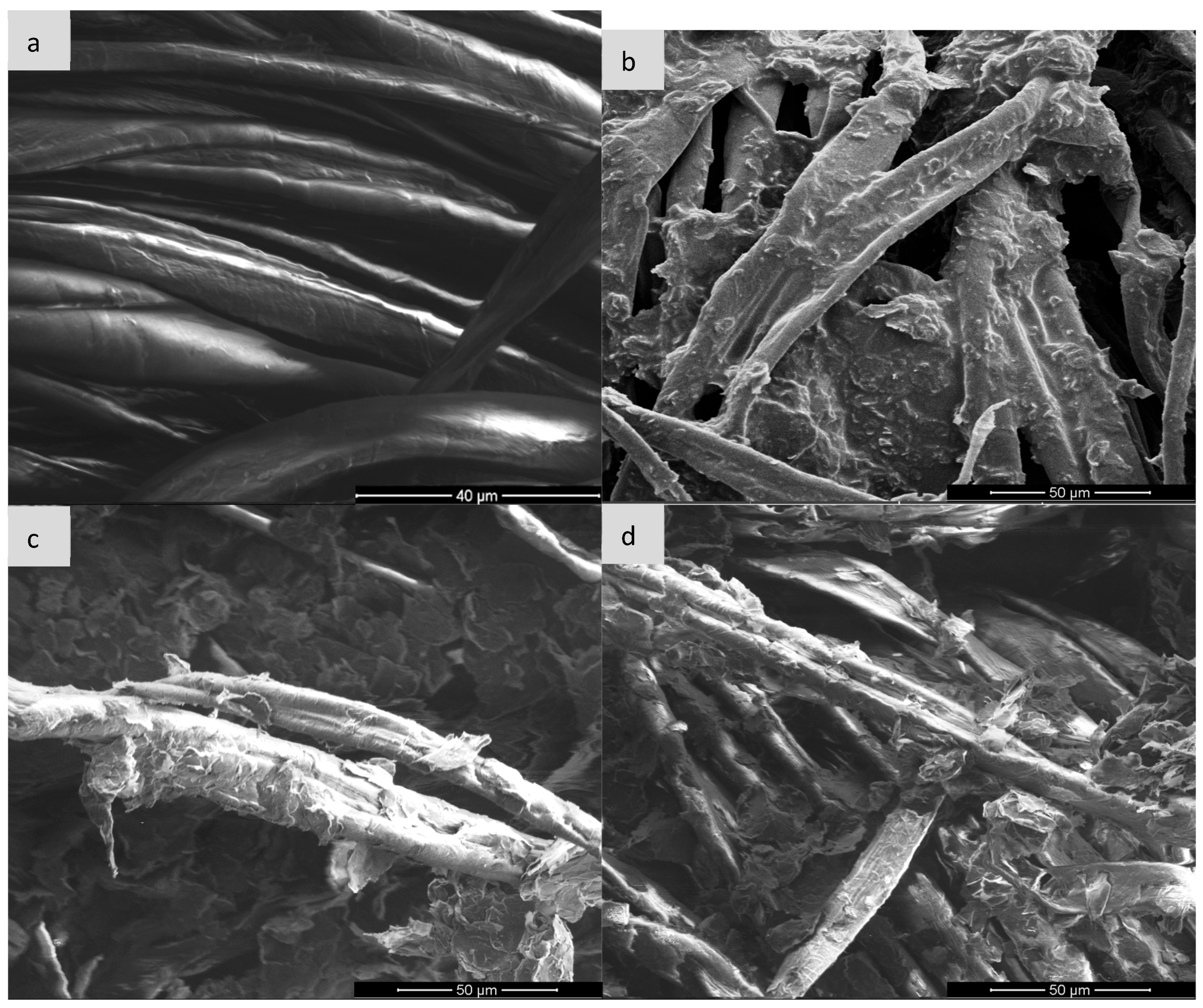 Sensors 25 05328 g006