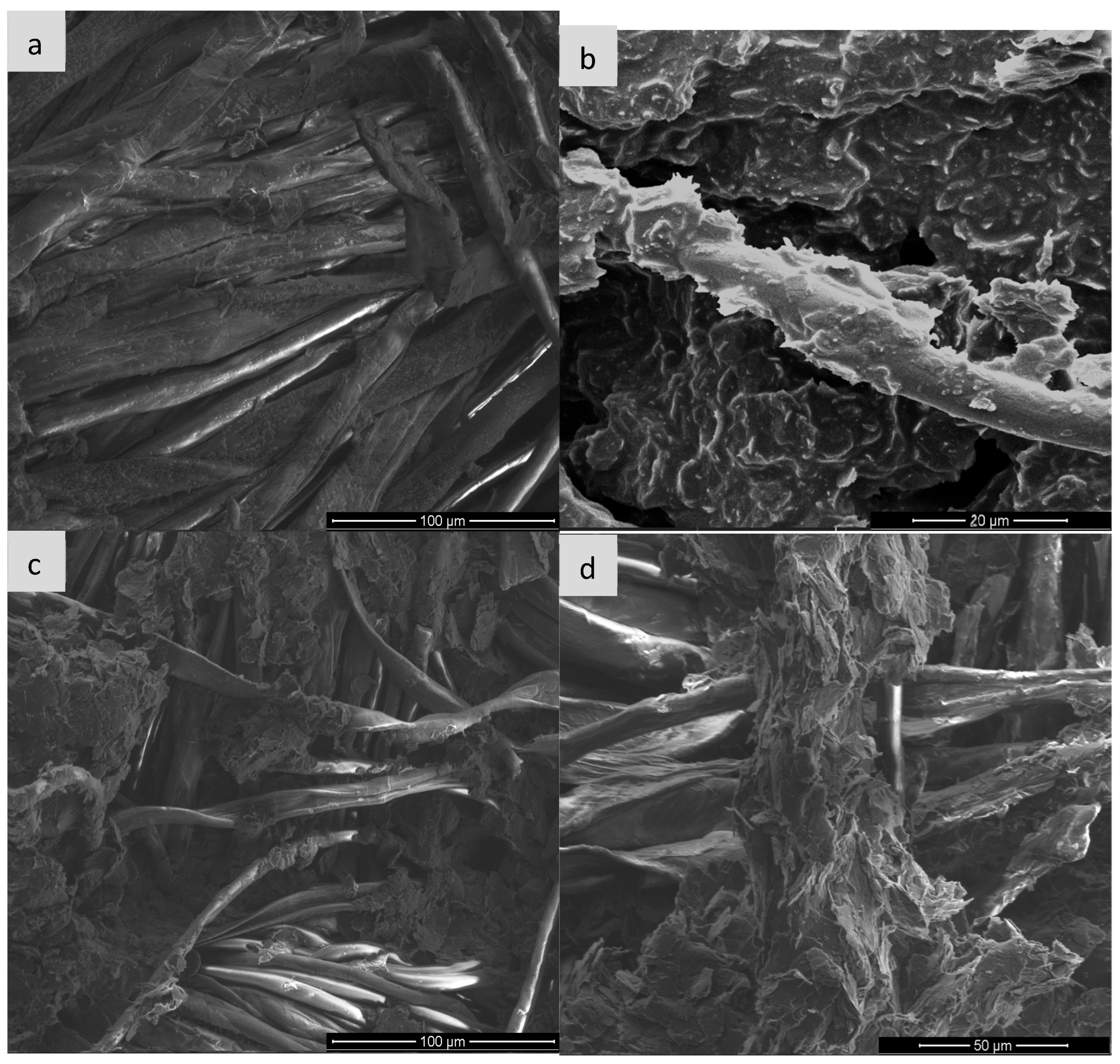 Sensors 25 05328 g008