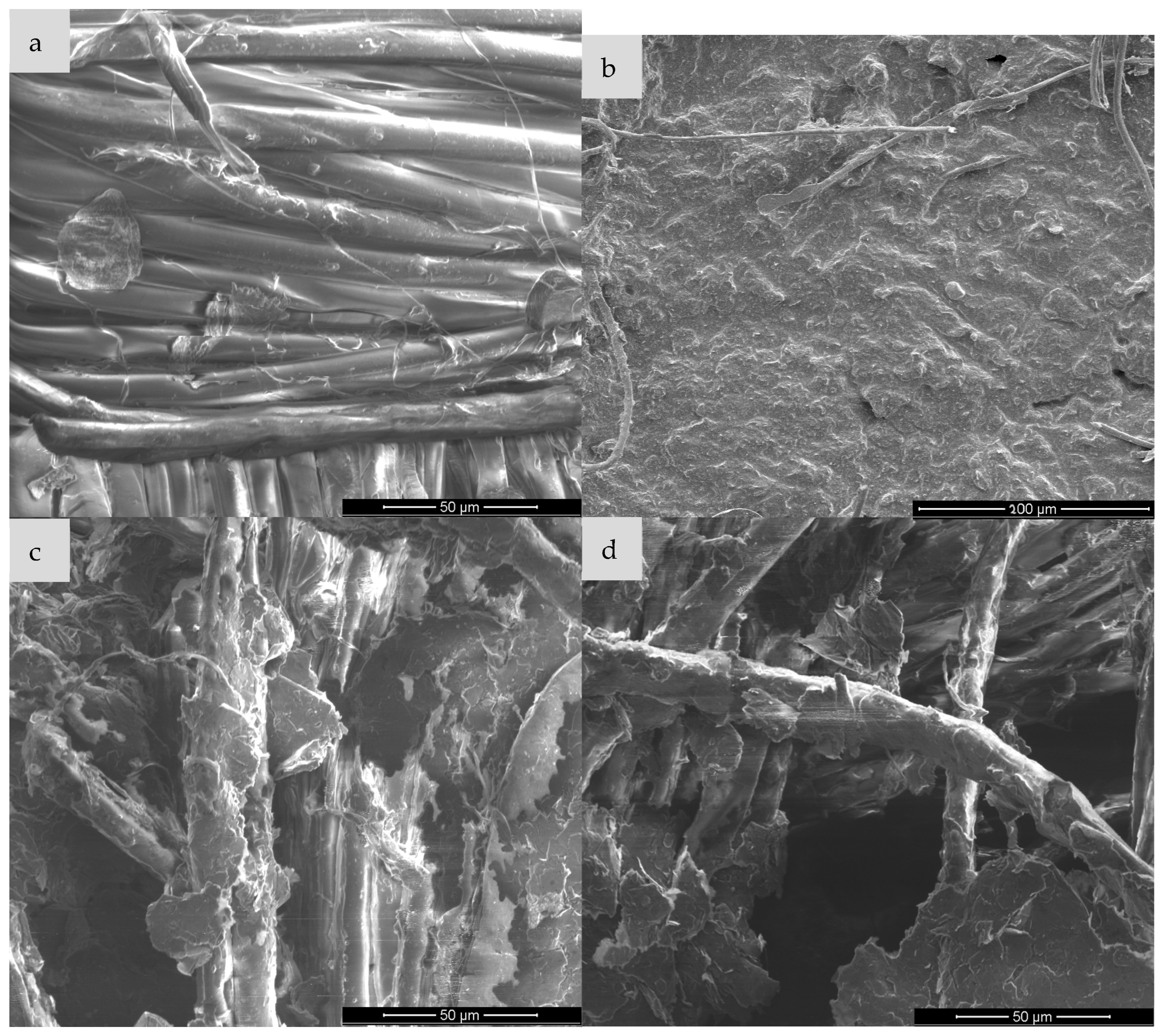 Sensors 25 05328 g009