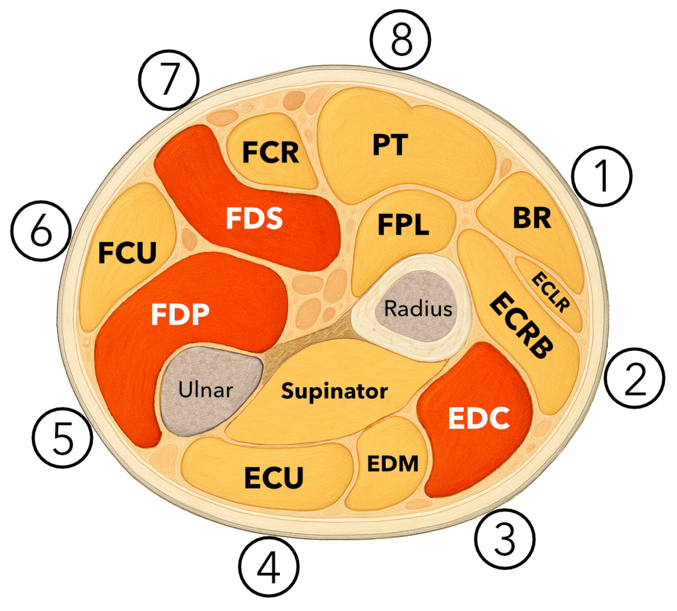 Sensors 25 05335 g001