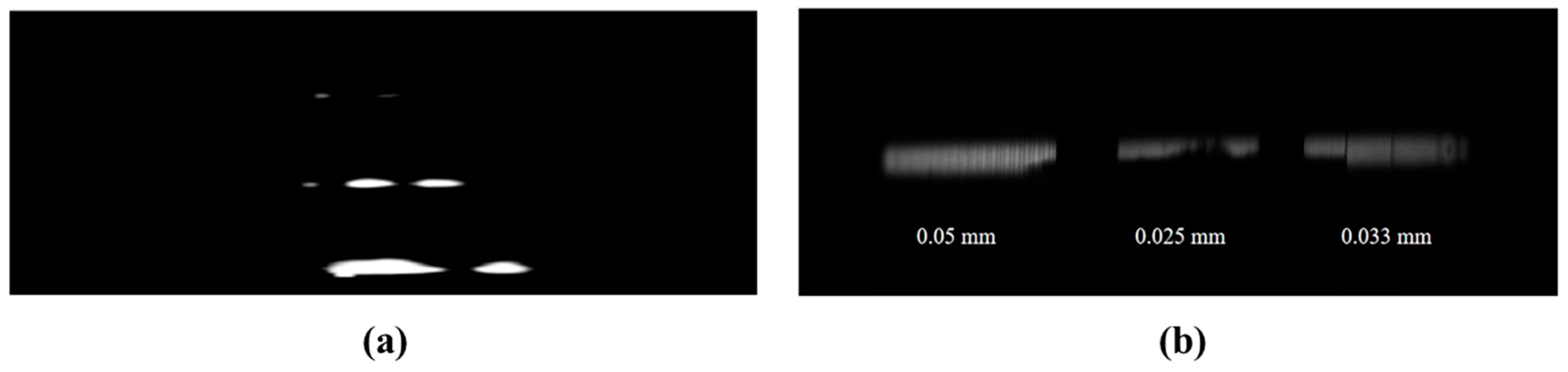 Sensors 25 05348 g005