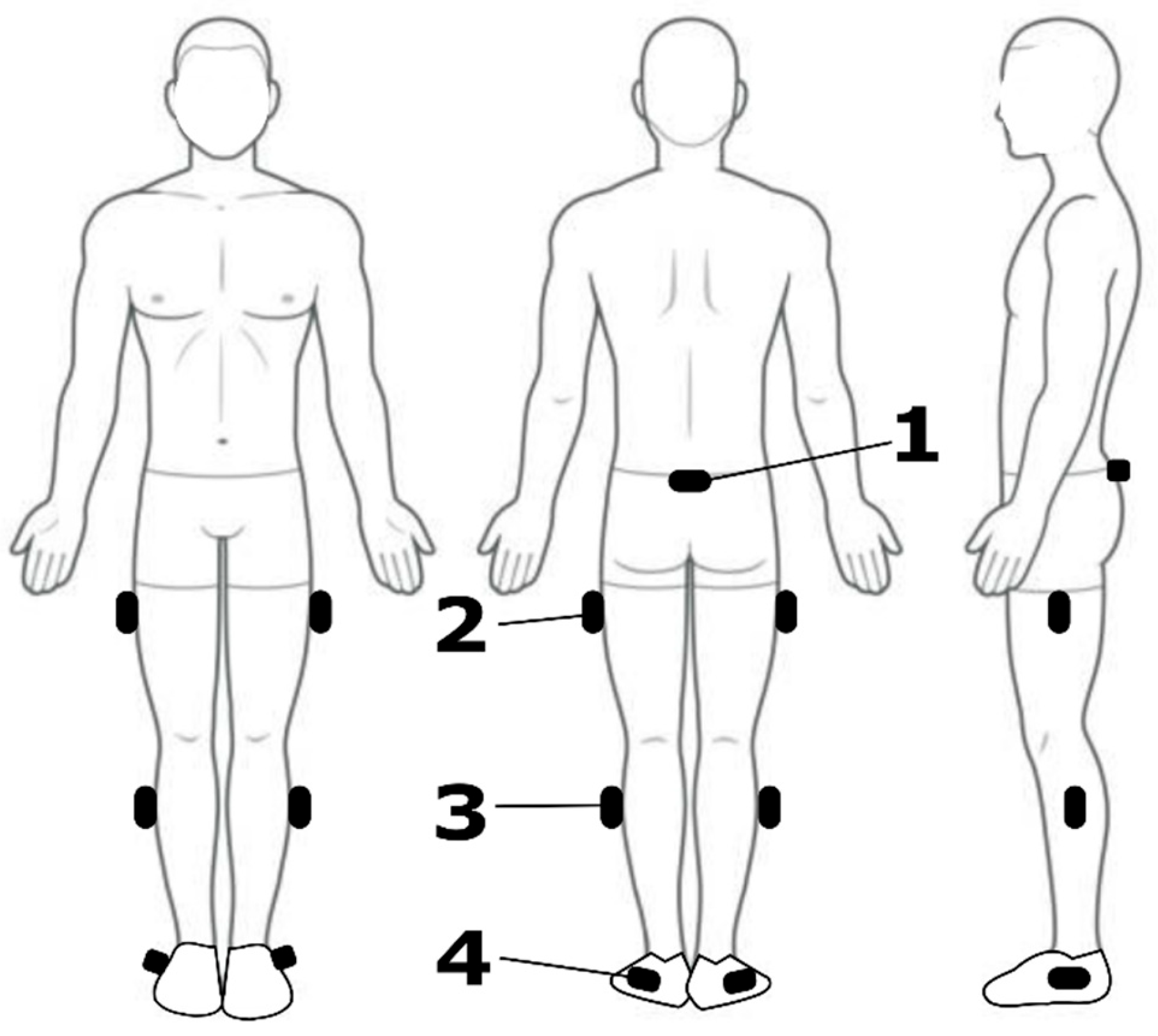 Sensors 25 05365 g001