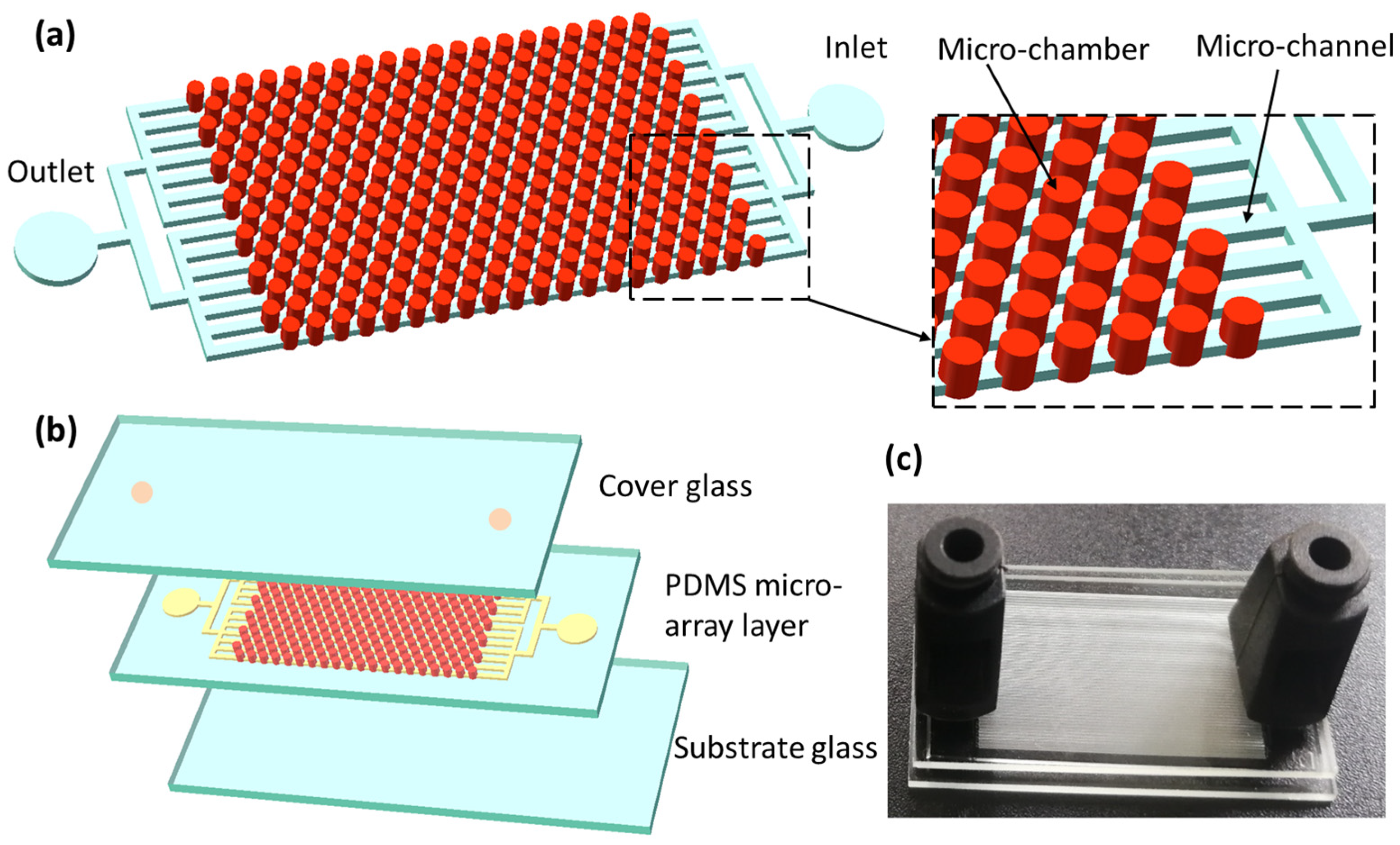 Sensors 25 05379 g001 Sensors 25 05379 g001