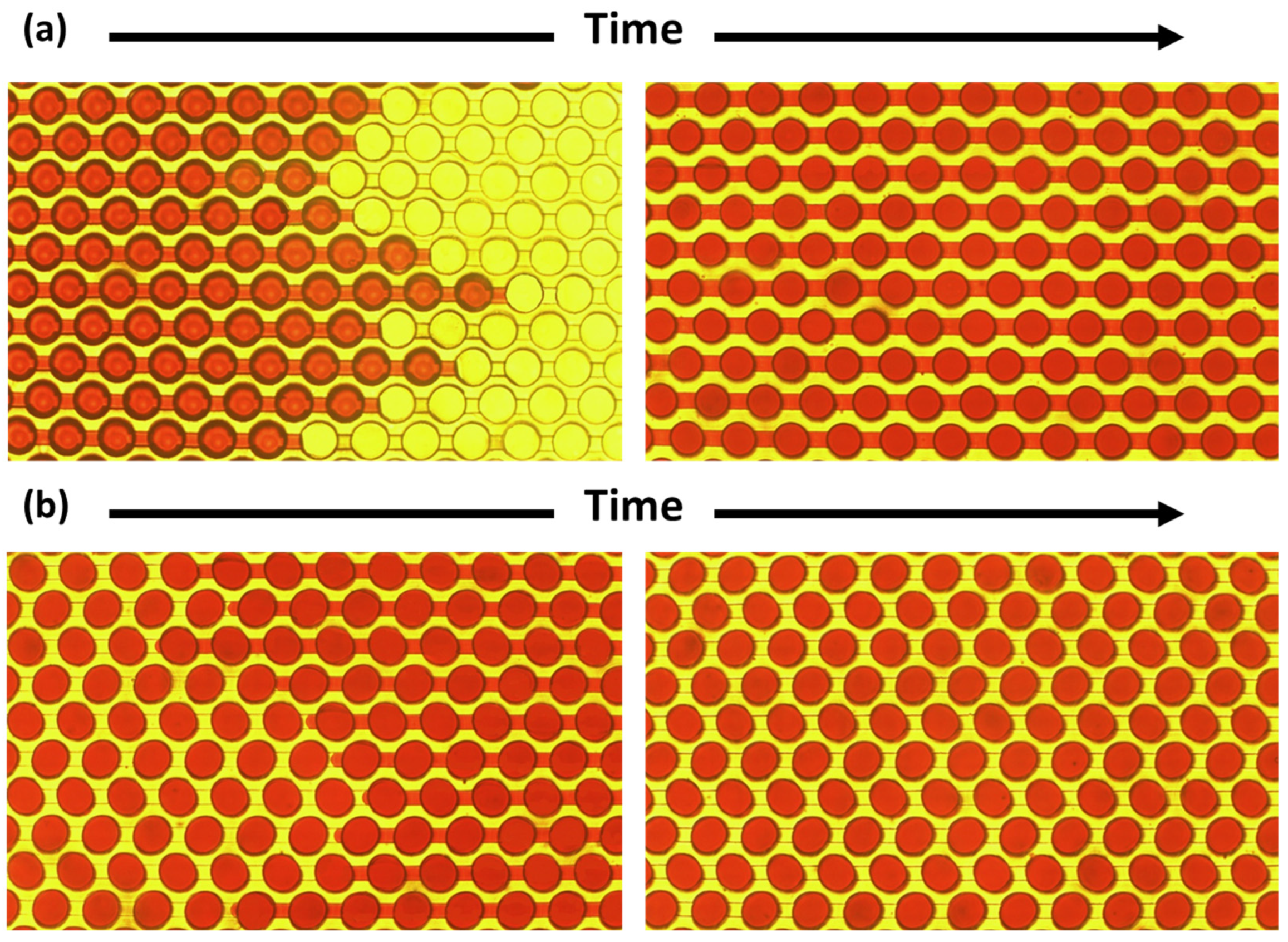Sensors 25 05379 g004 Sensors 25 05379 g004