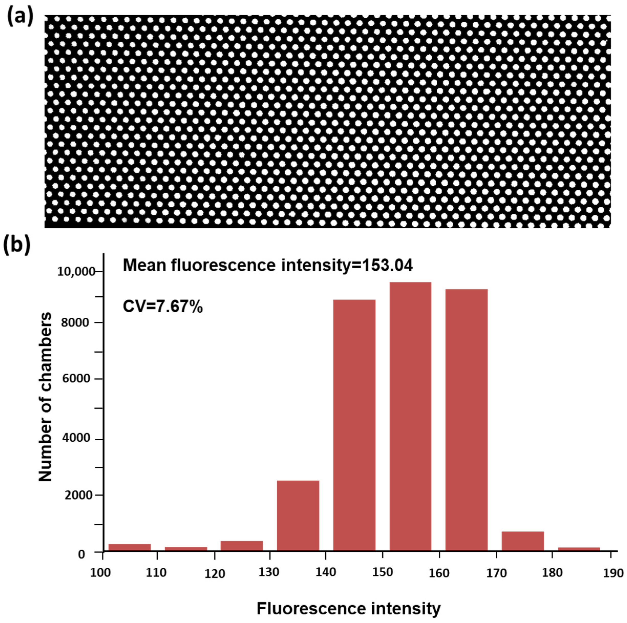 Sensors 25 05379 g005 Sensors 25 05379 g005