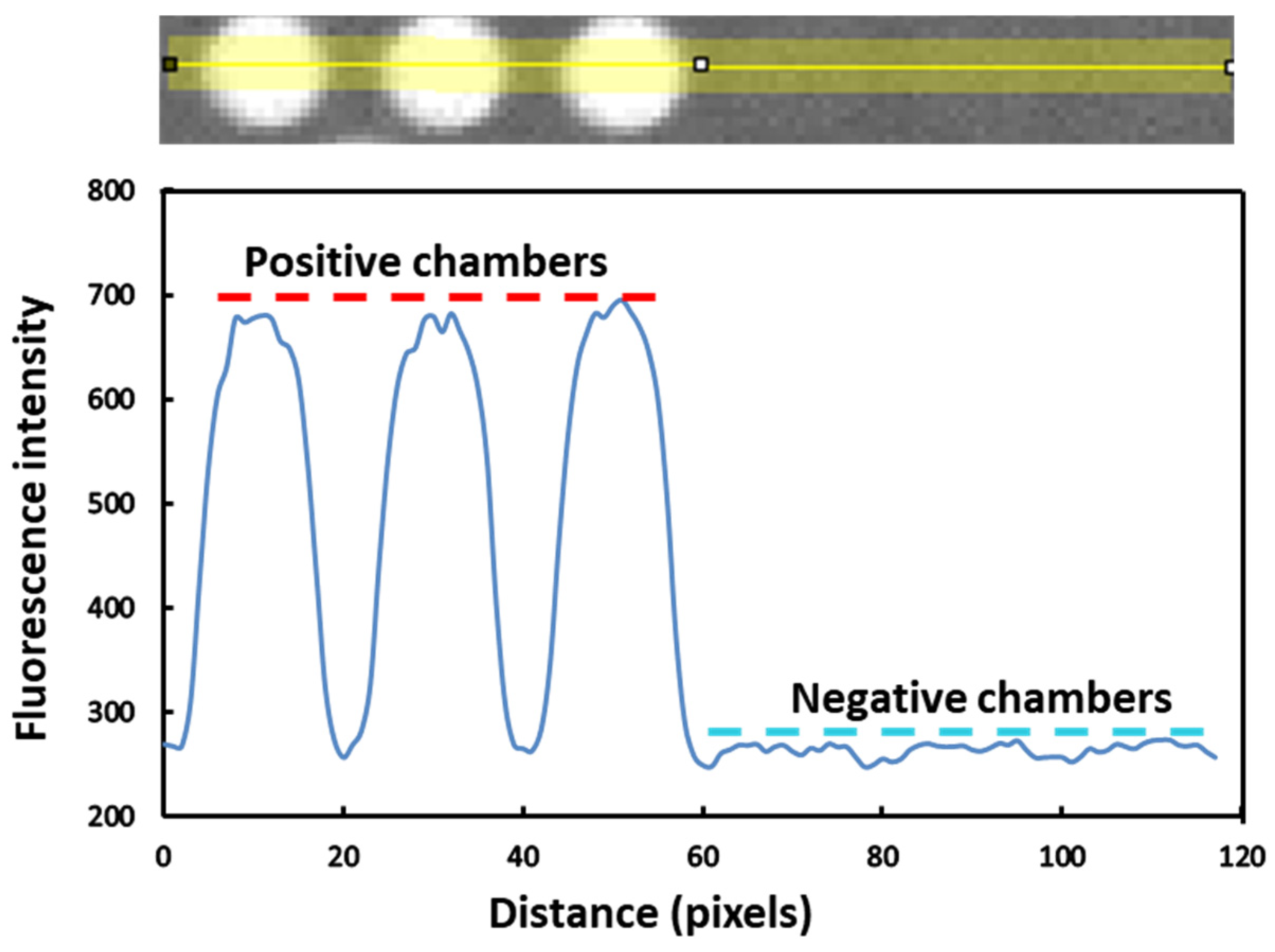 Sensors 25 05379 g006 Sensors 25 05379 g006