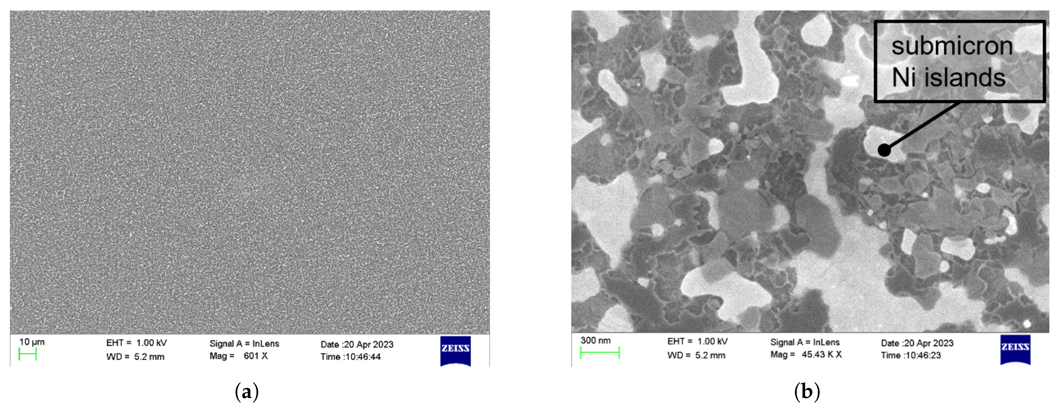 Sensors 25 05390 g002 Sensors 25 05390 g002