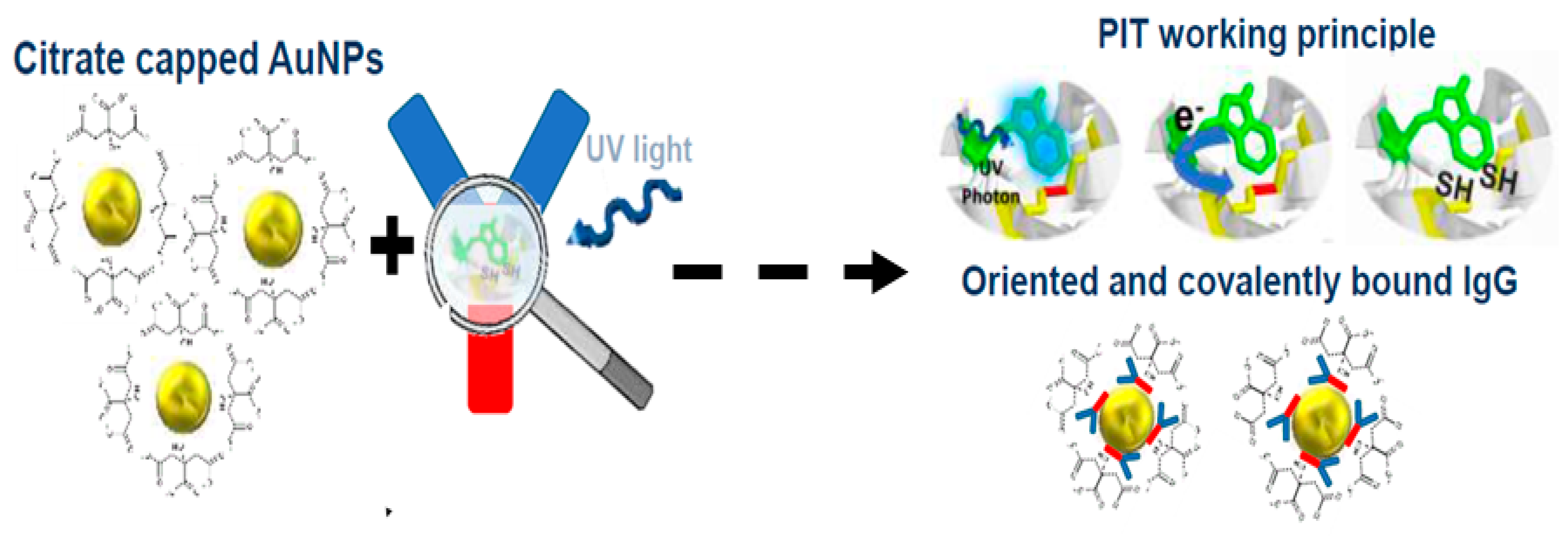 Sensors 25 05414 g005