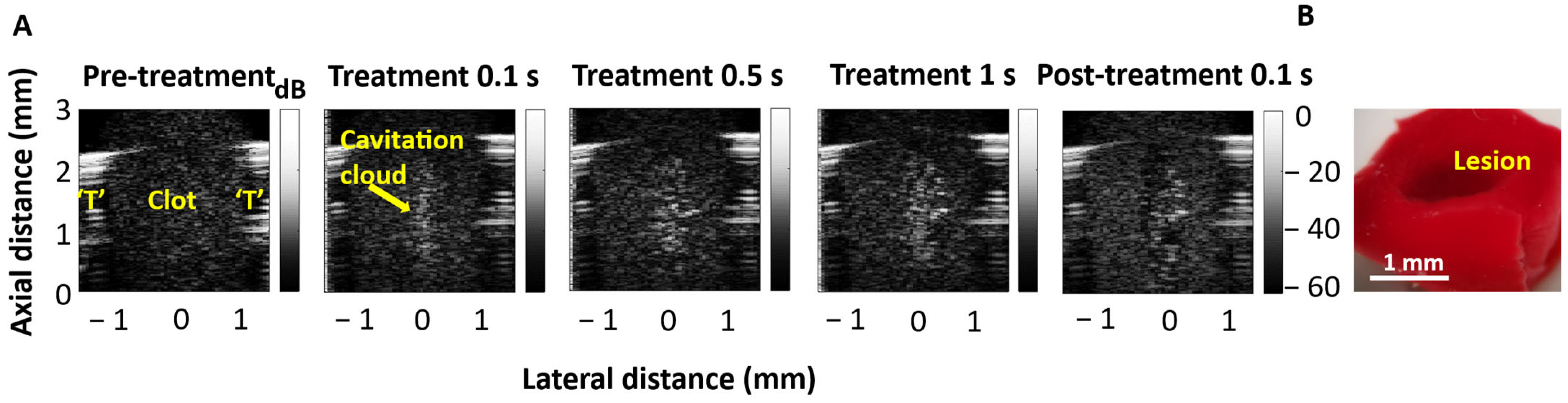 Sensors 25 05417 g010