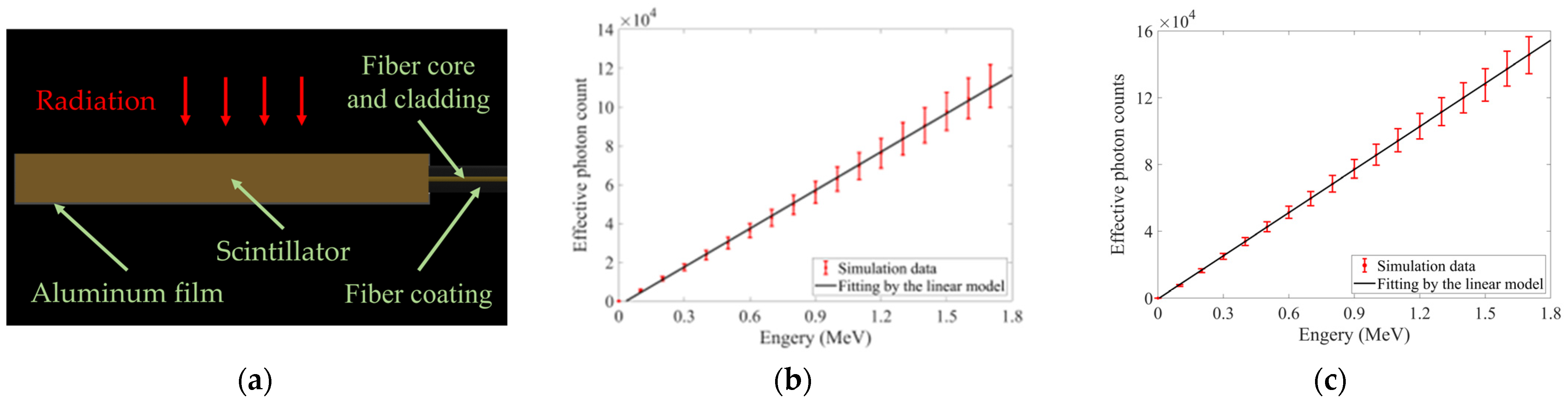 Sensors 25 05431 g007