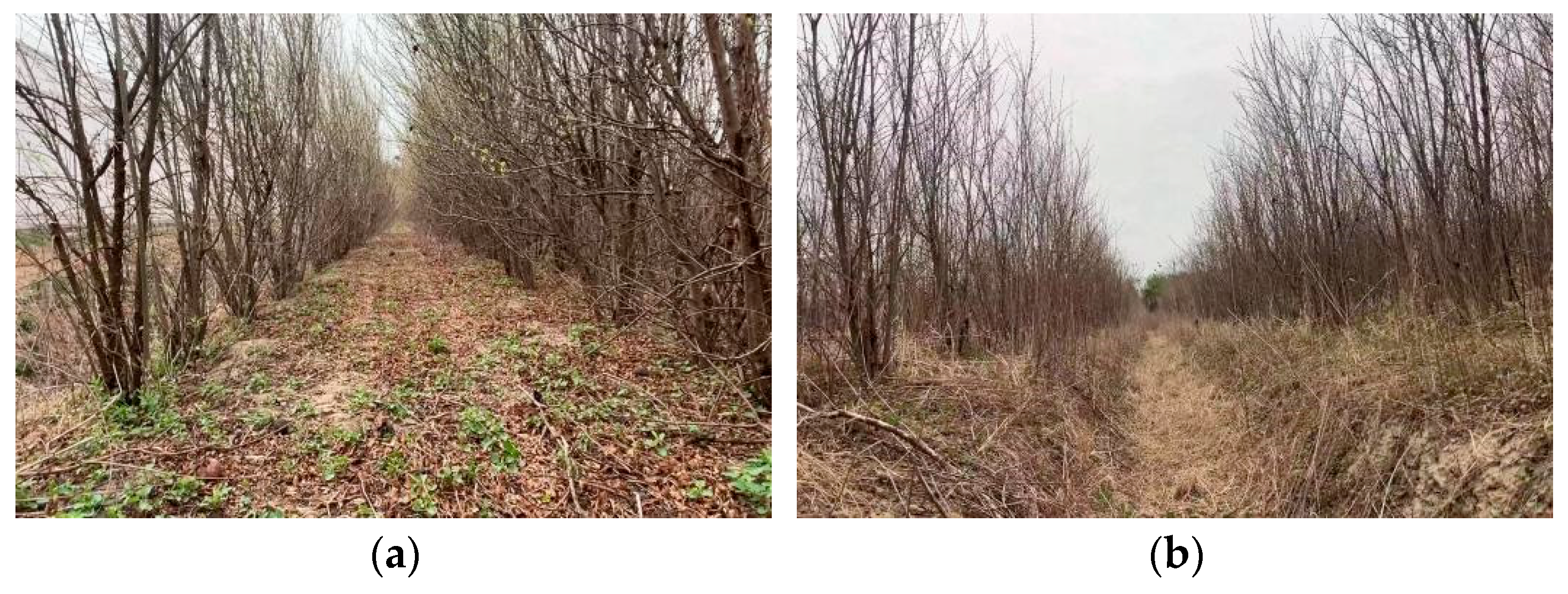 Sensors 25 05432 g001