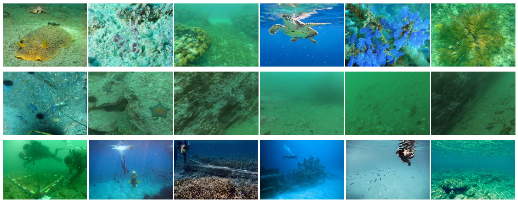 Sensors 25 05439 g003 Sensors 25 05439 g003