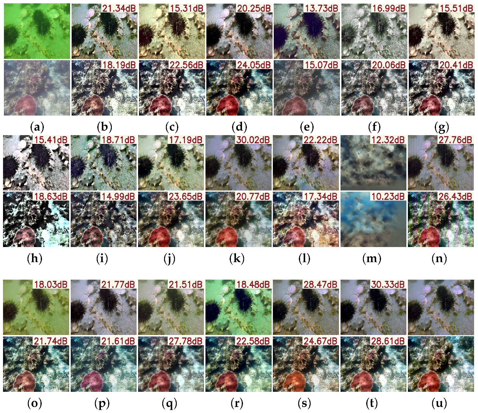 Sensors 25 05439 g005 Sensors 25 05439 g005