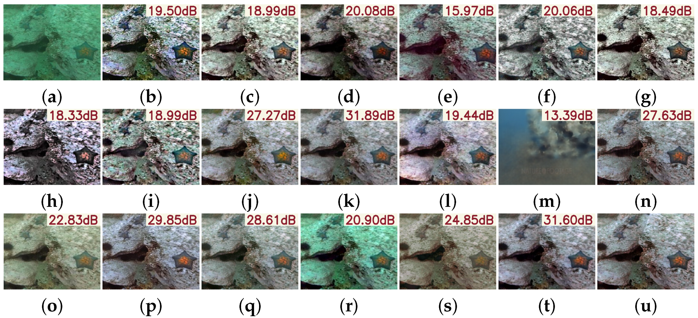 Sensors 25 05439 g008 Sensors 25 05439 g008