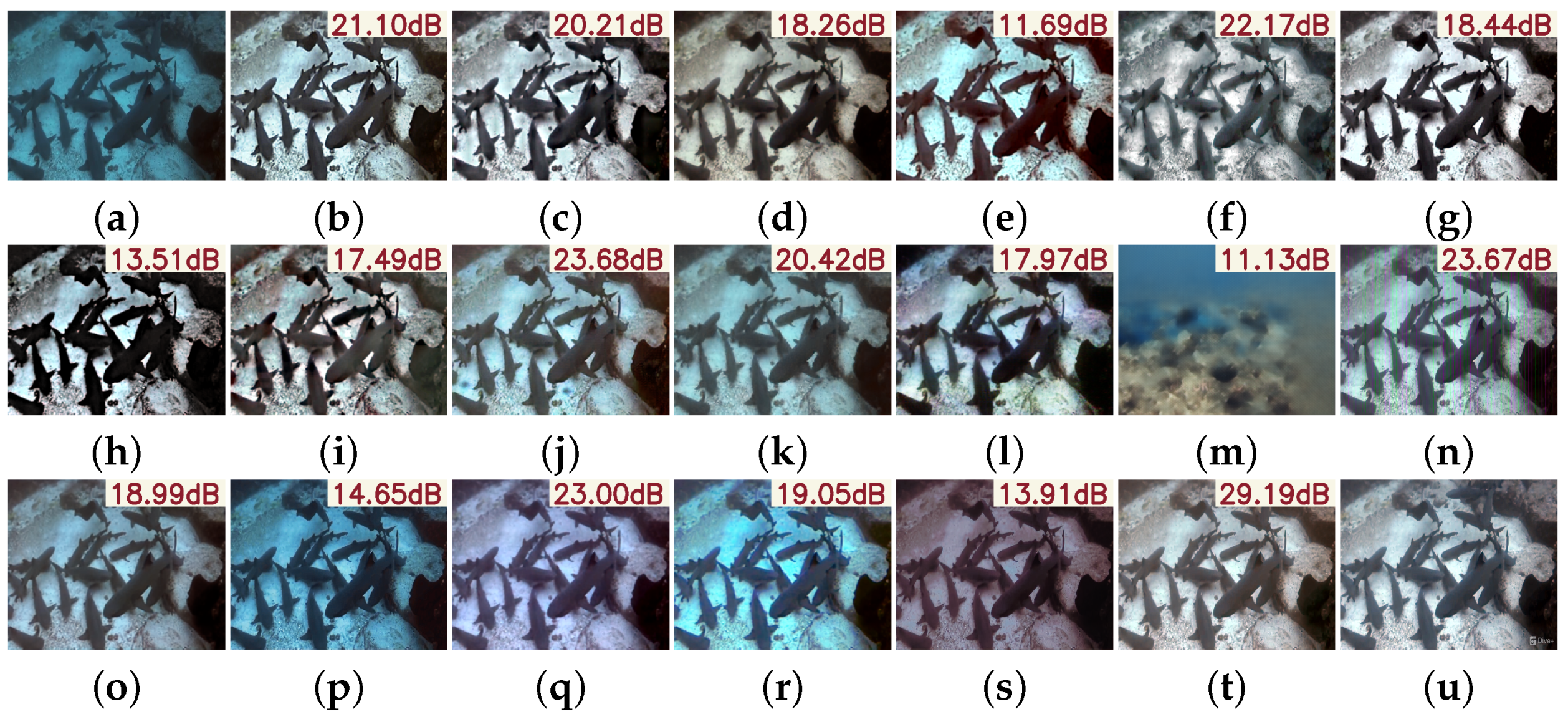 Sensors 25 05439 g009 Sensors 25 05439 g009
