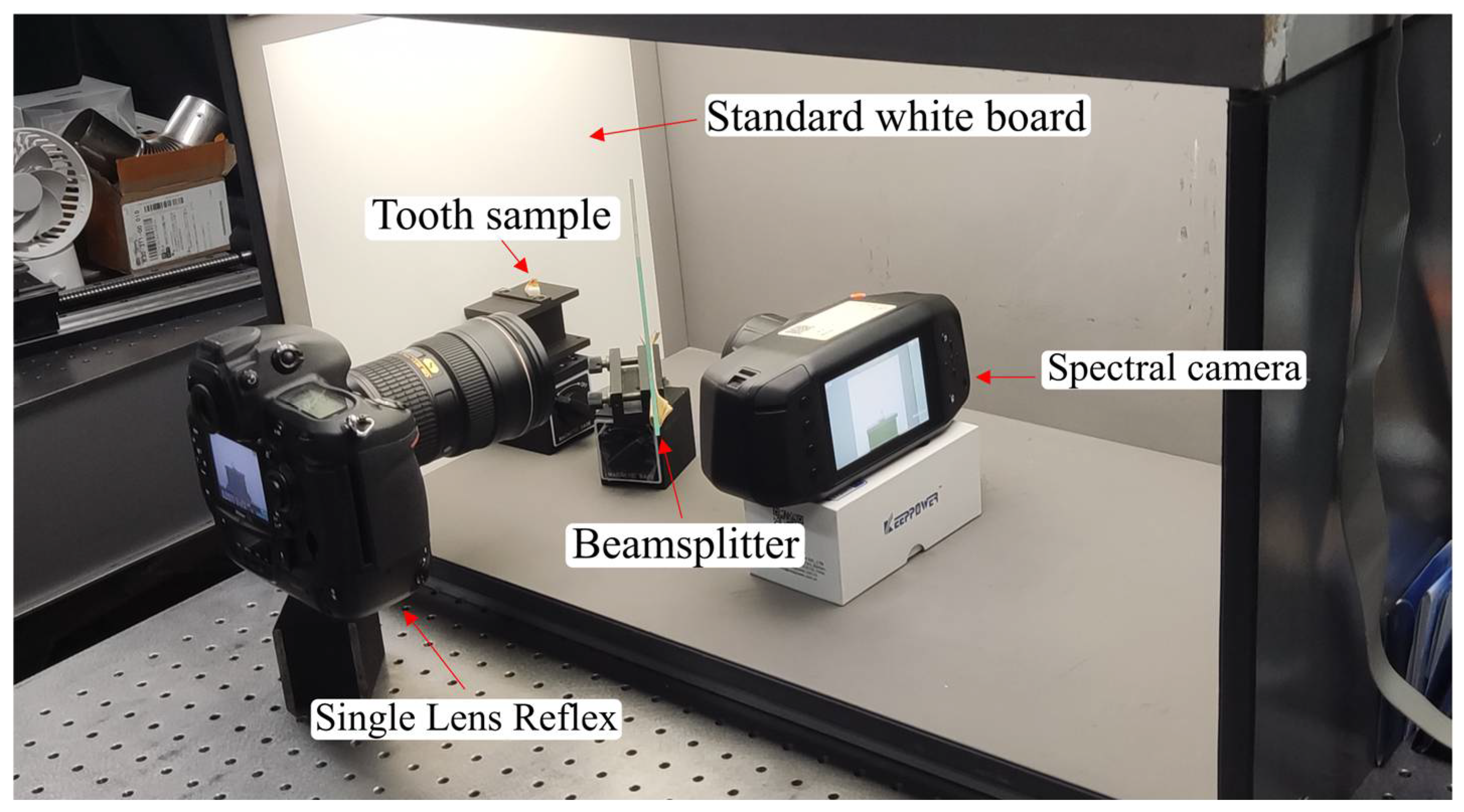 Sensors 25 05443 g004