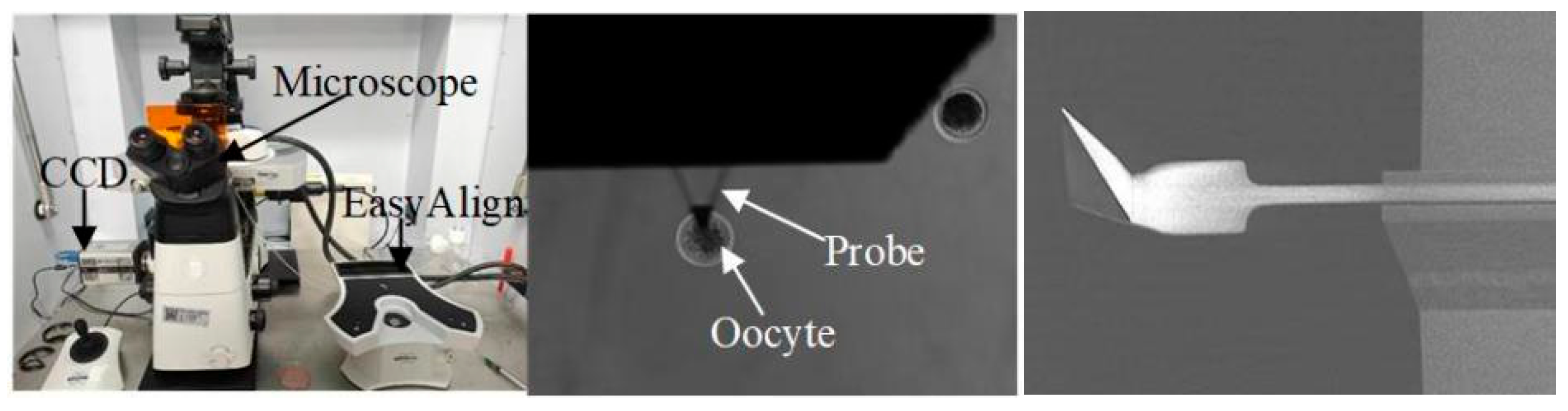 Sensors 25 05479 g001 Sensors 25 05479 g001