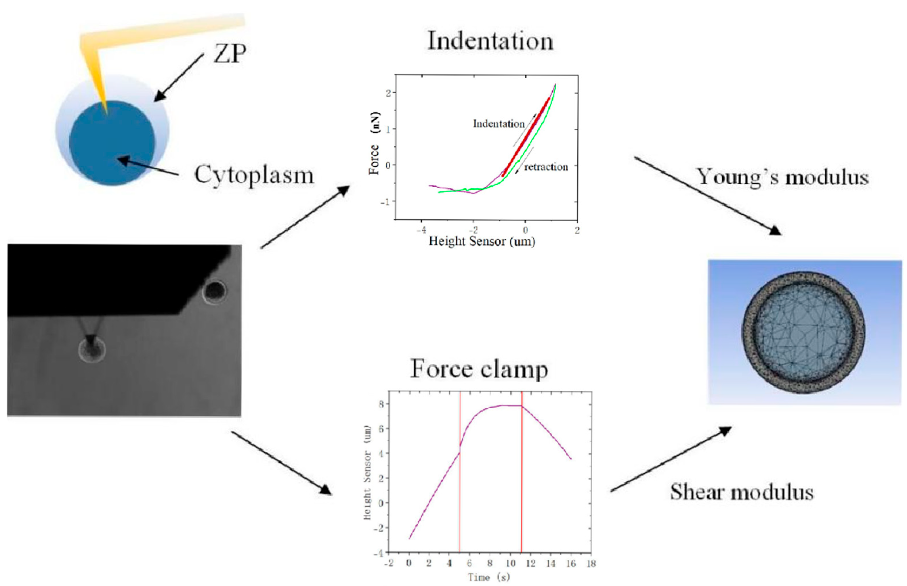 Sensors 25 05479 g002 Sensors 25 05479 g002