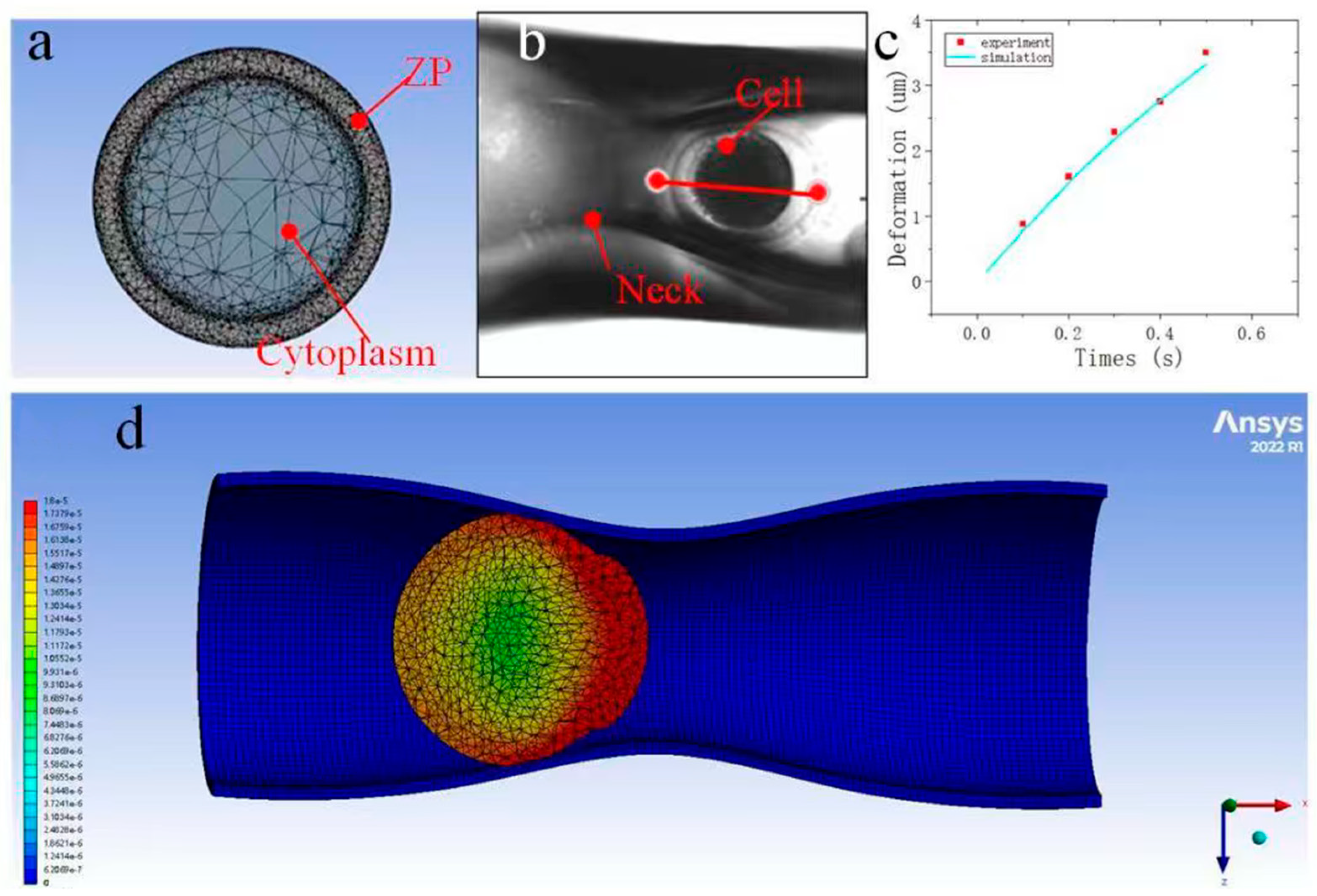 Sensors 25 05479 g005 Sensors 25 05479 g005
