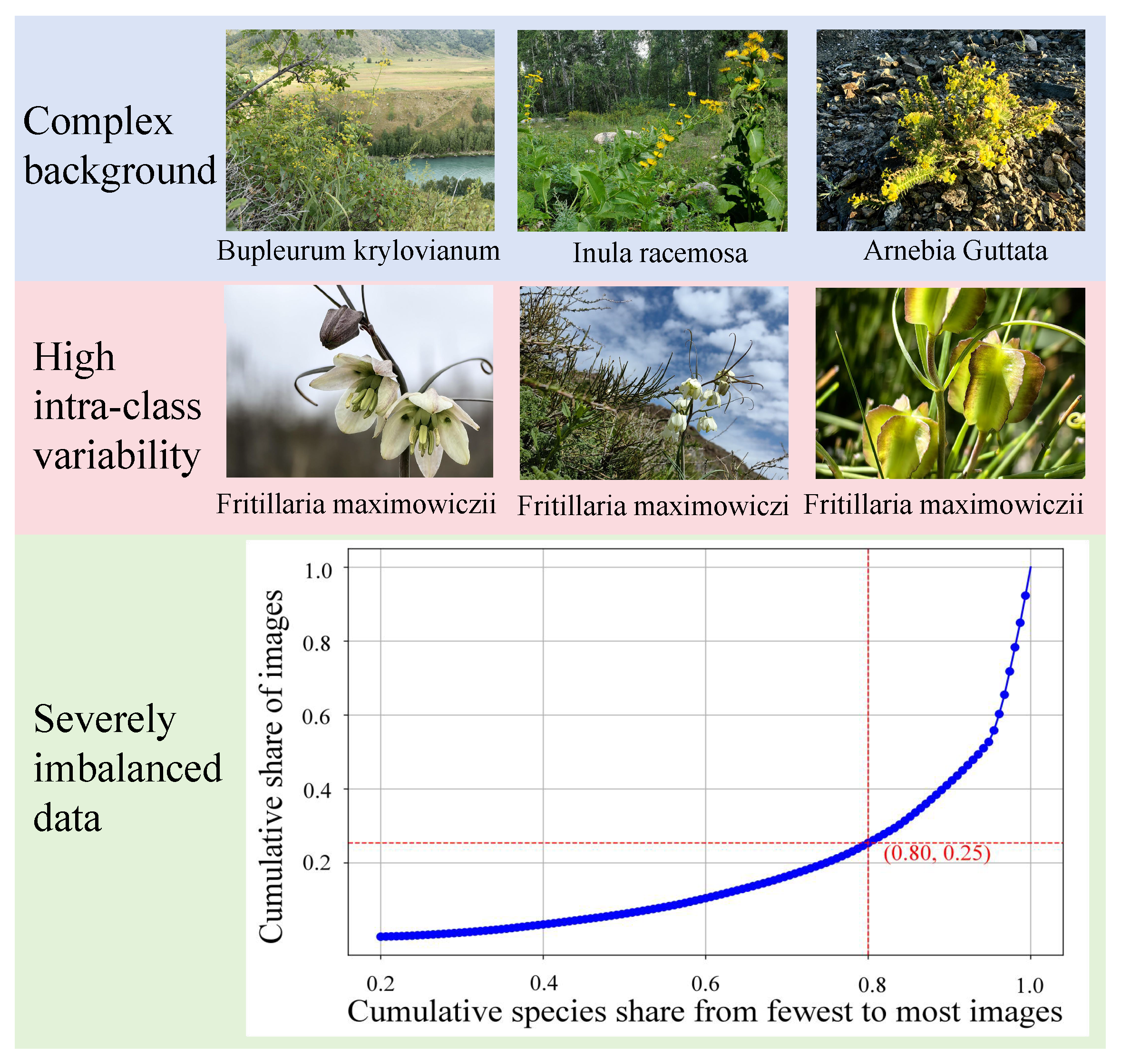 Sensors 25 05499 g001