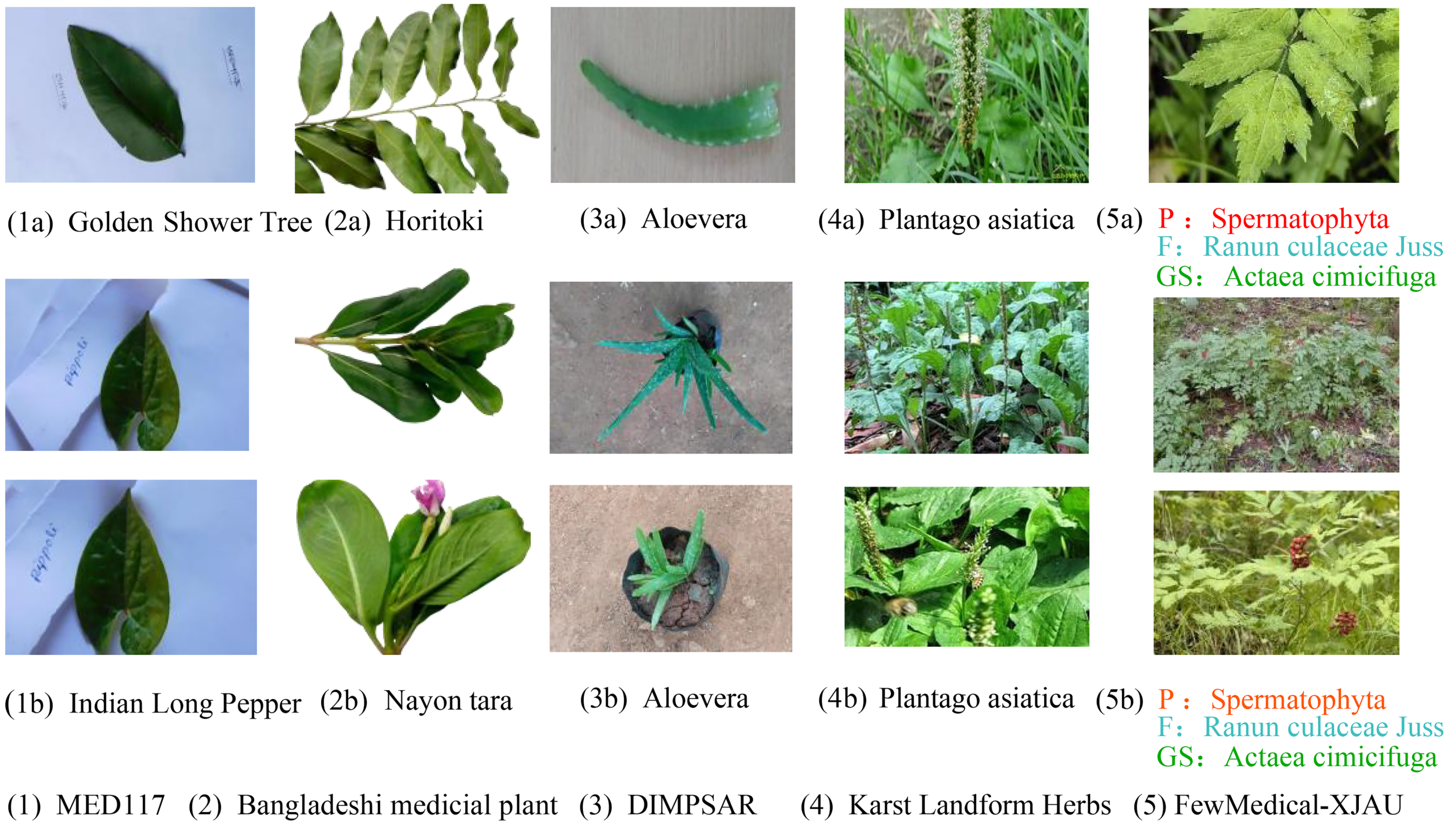 Sensors 25 05499 g003