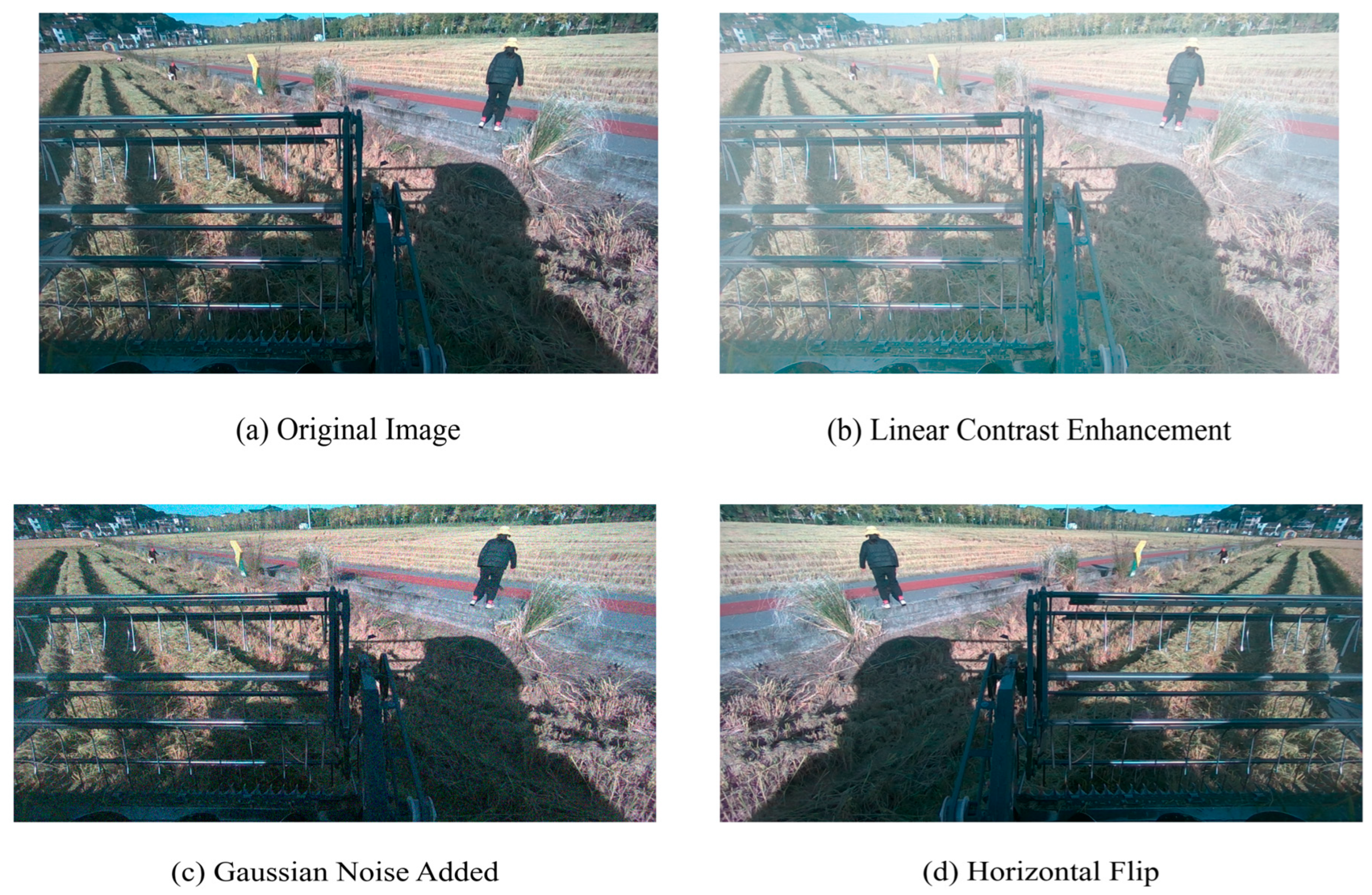 Sensors 25 05506 g008