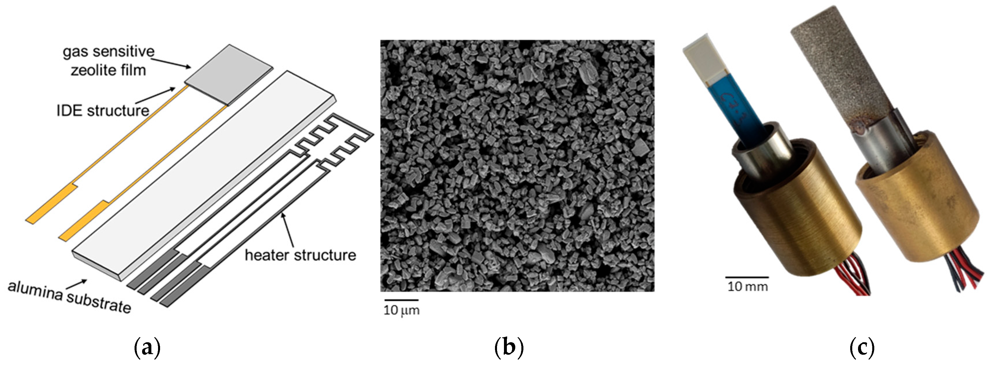 Sensors 25 05519 g001