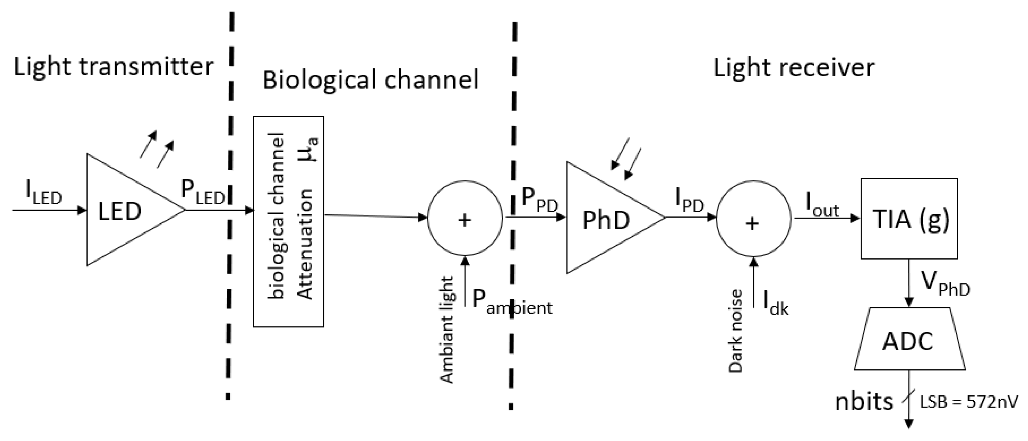 Sensors 25 05520 g005