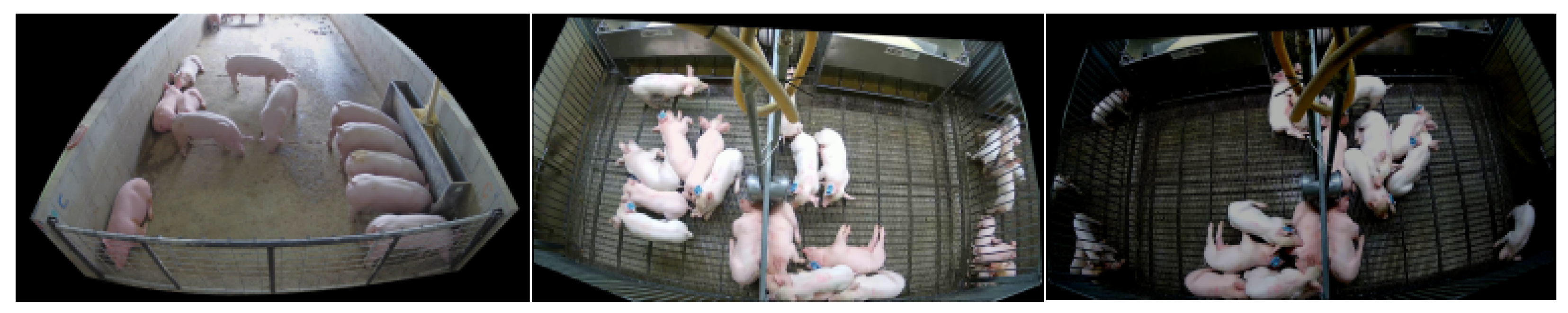 Sensors 25 05534 g007 Sensors 25 05534 g007