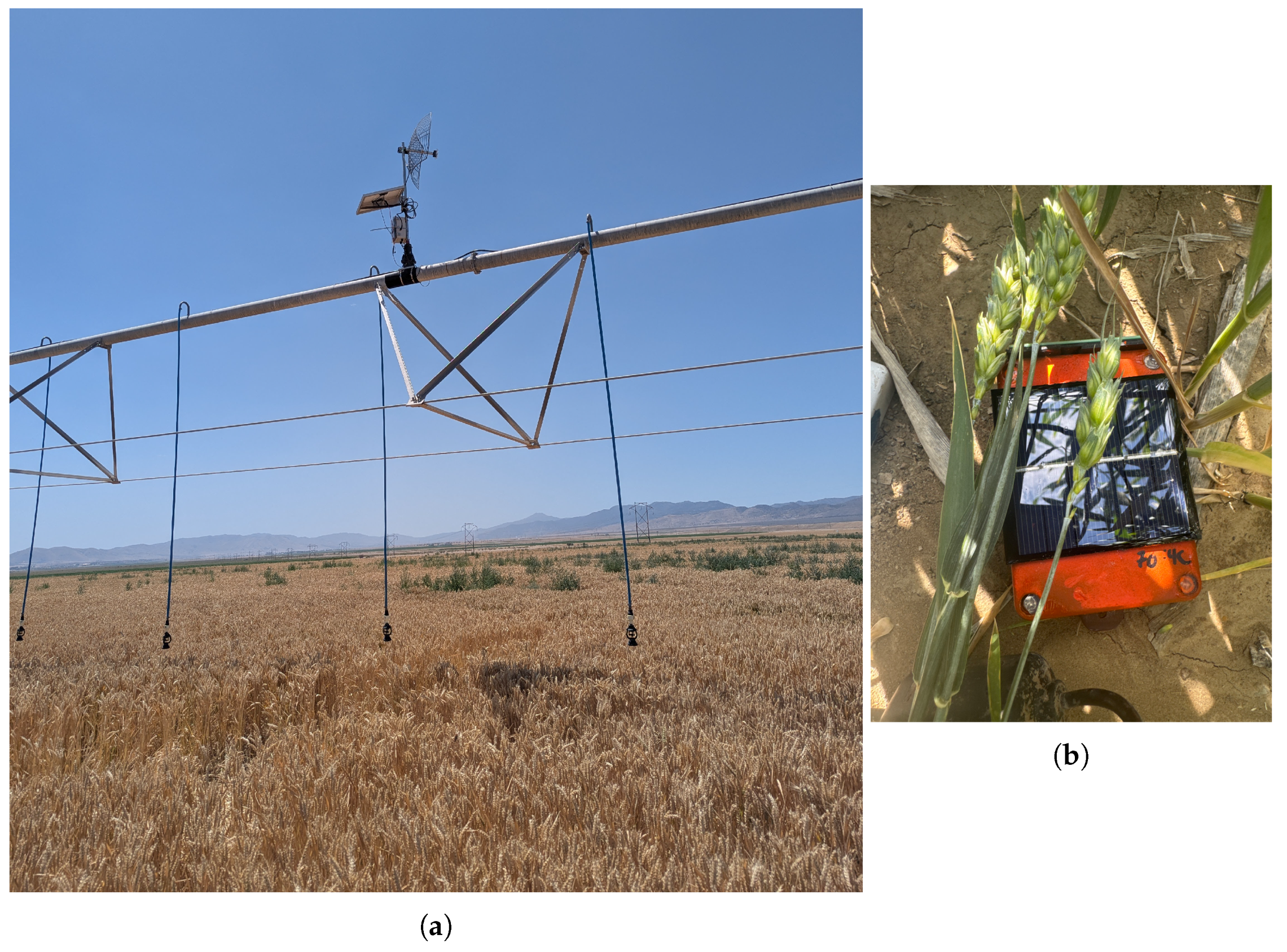 Sensors 25 05537 g007