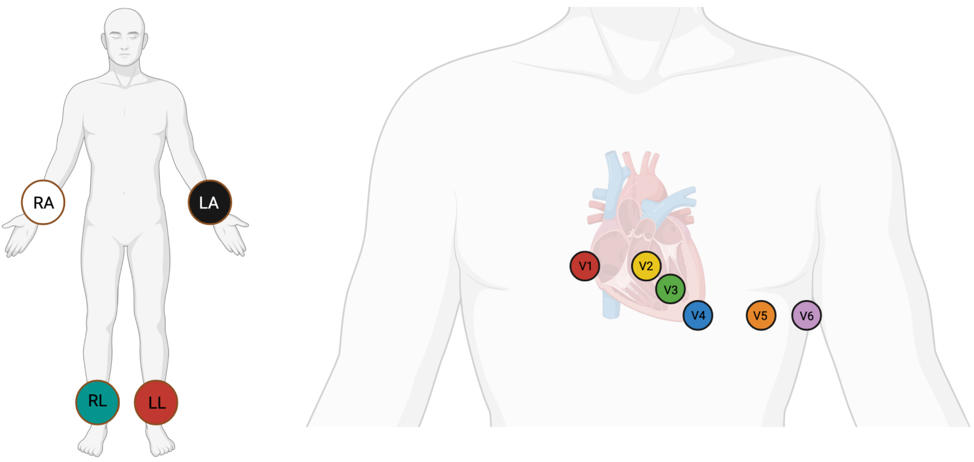 Sensors 25 05542 g001