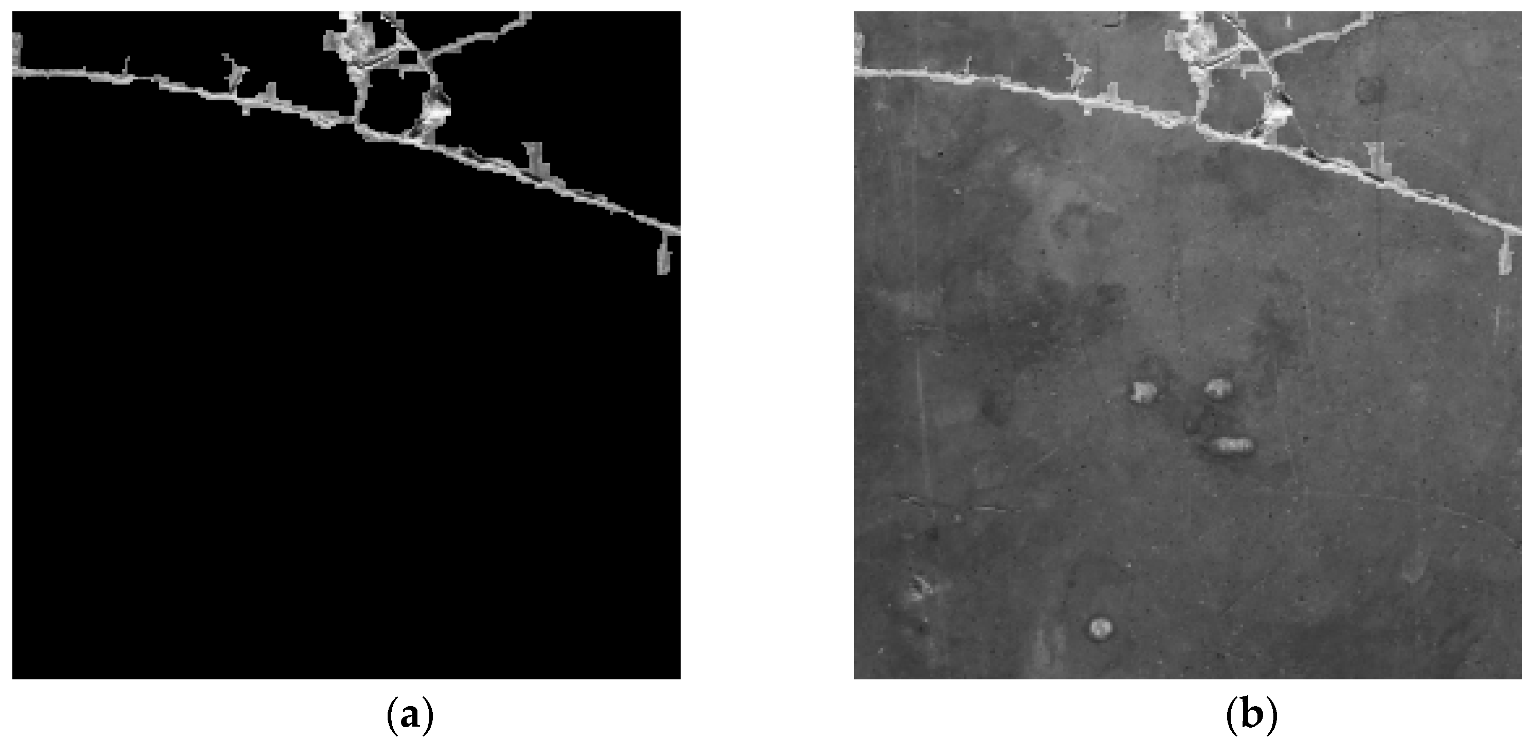 Sensors 25 05574 g005