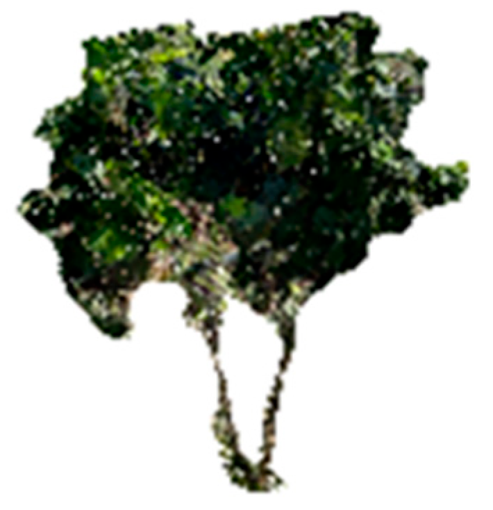 Sensors 25 05629 g004